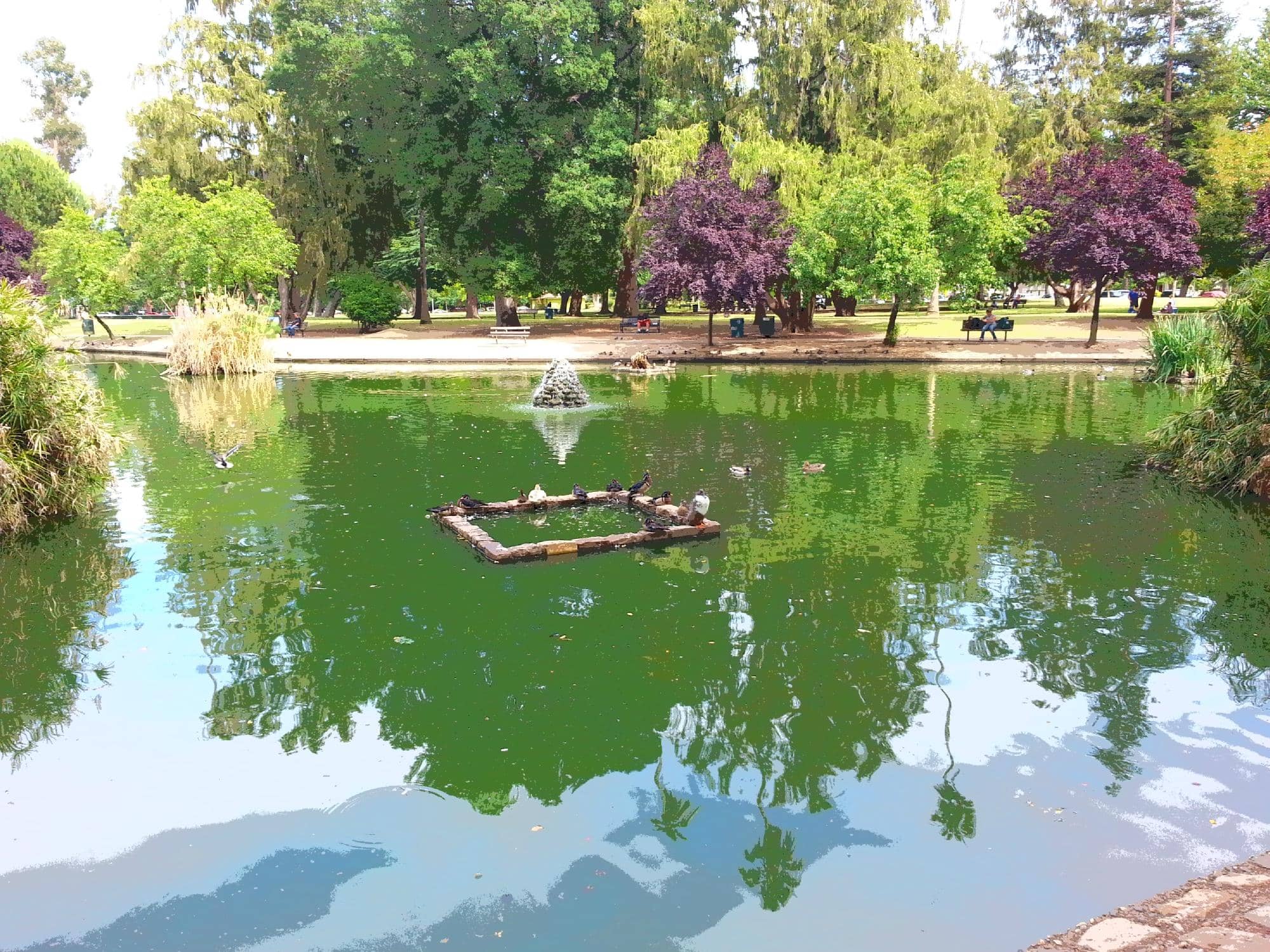 Seasonal Pool