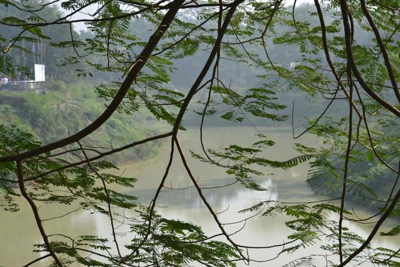 Well-Planned Walking Paths