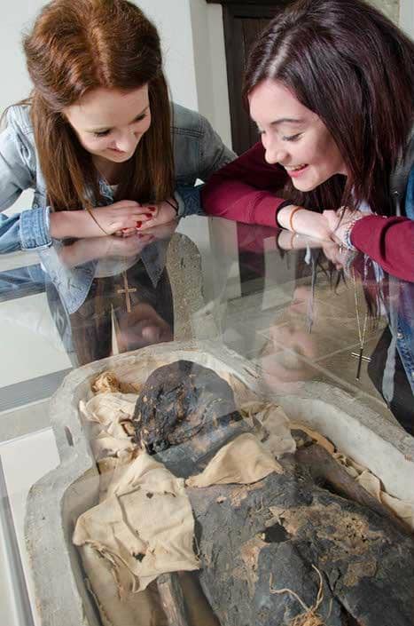 Dinosaur and Fossil Displays