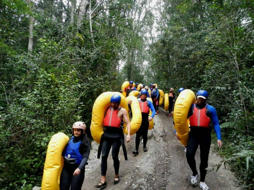 Plaatbos Indigenous Forest