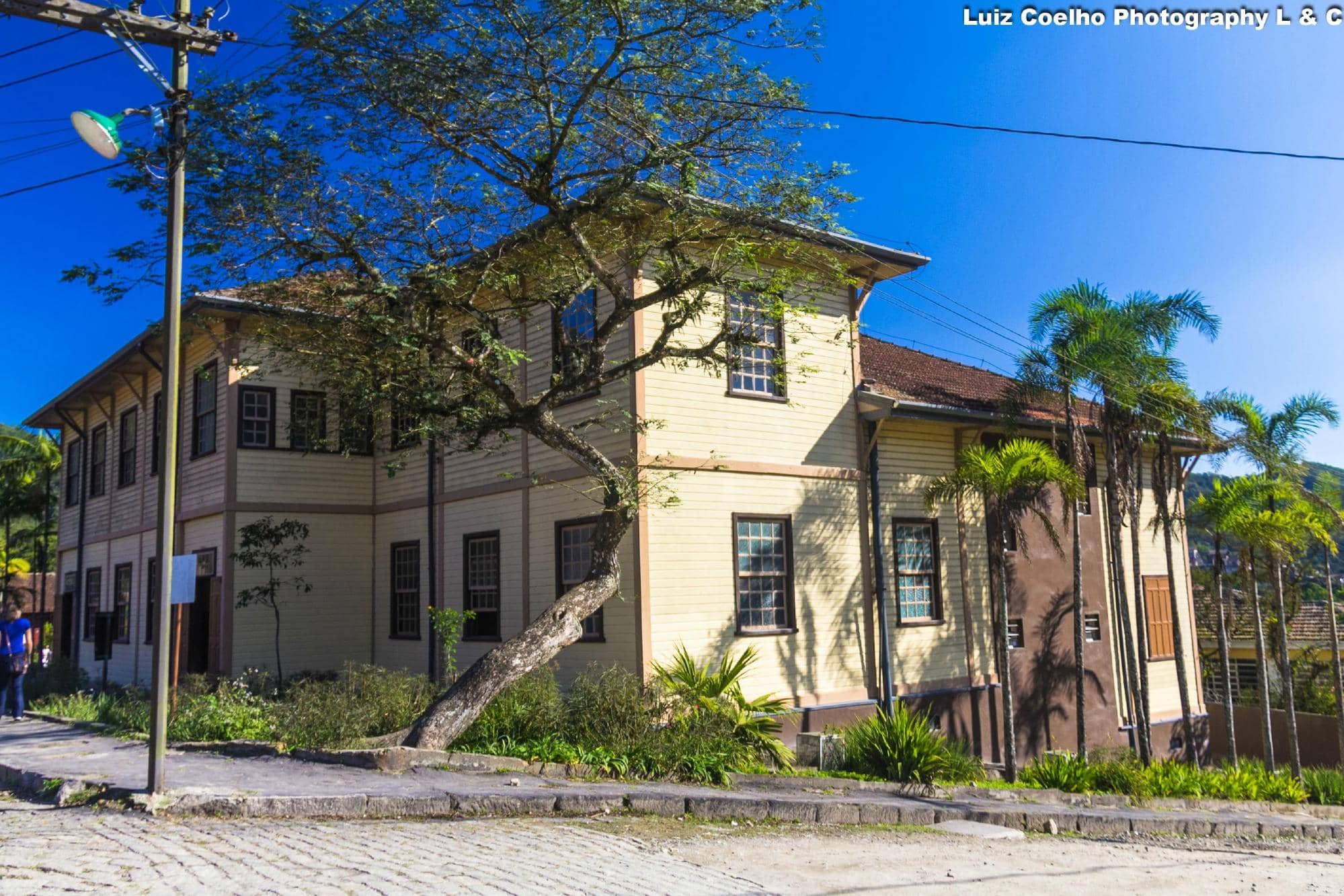 The Haunted Swing