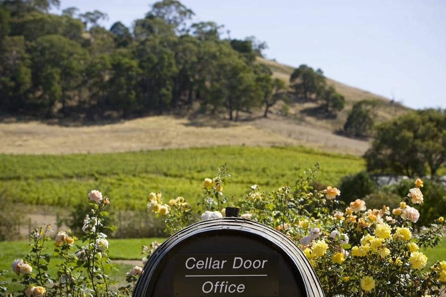 Scenic Views & Ambiance