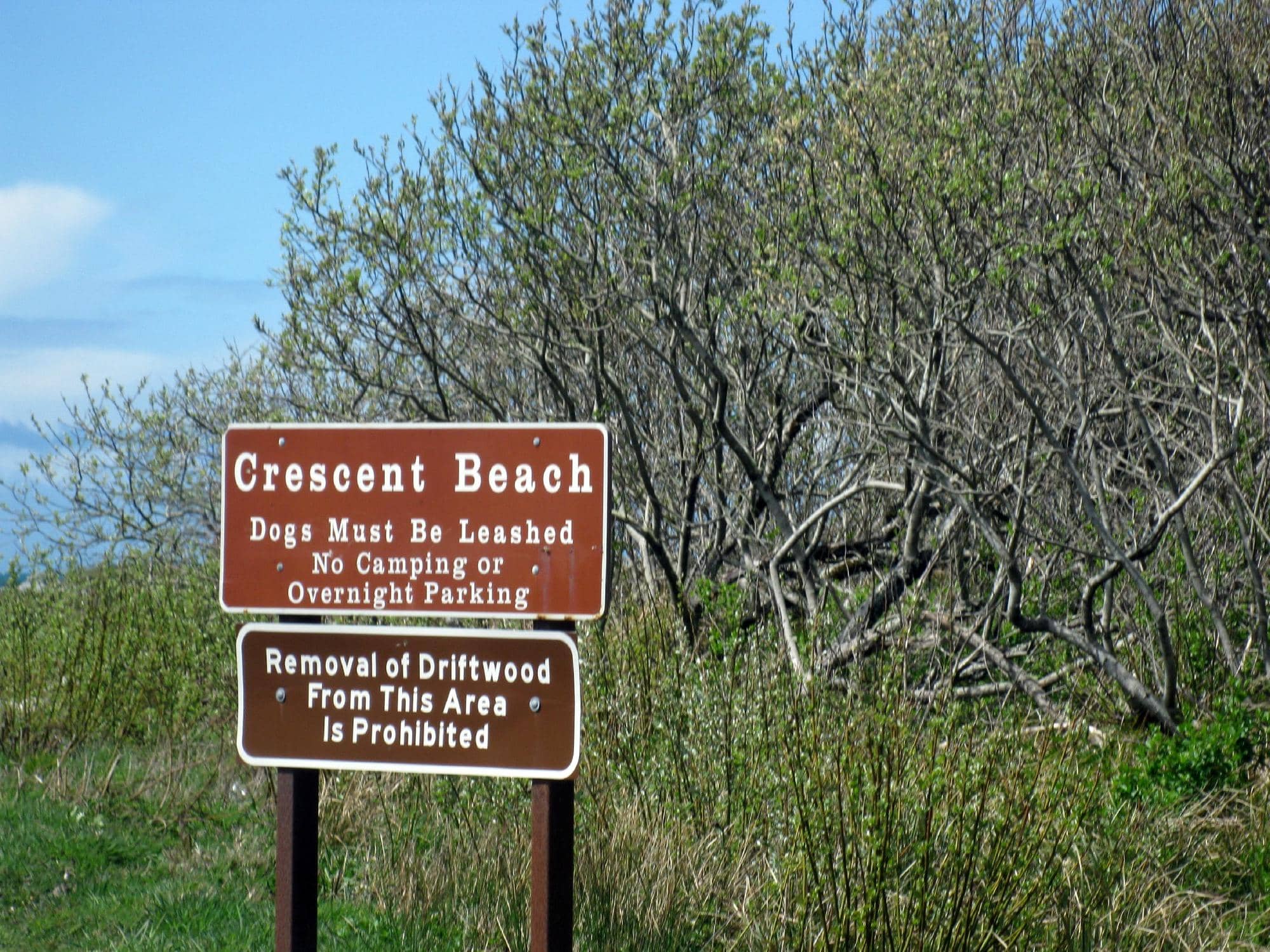 Jedediah Smith Redwoods State Park