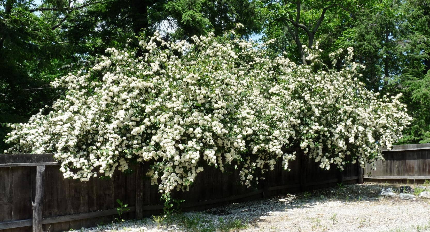 Legend of Sleepy Hollow Storytelling