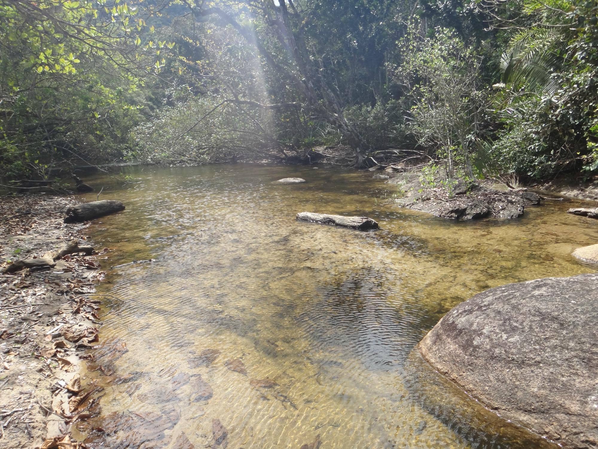 Wild & Untouched Nature