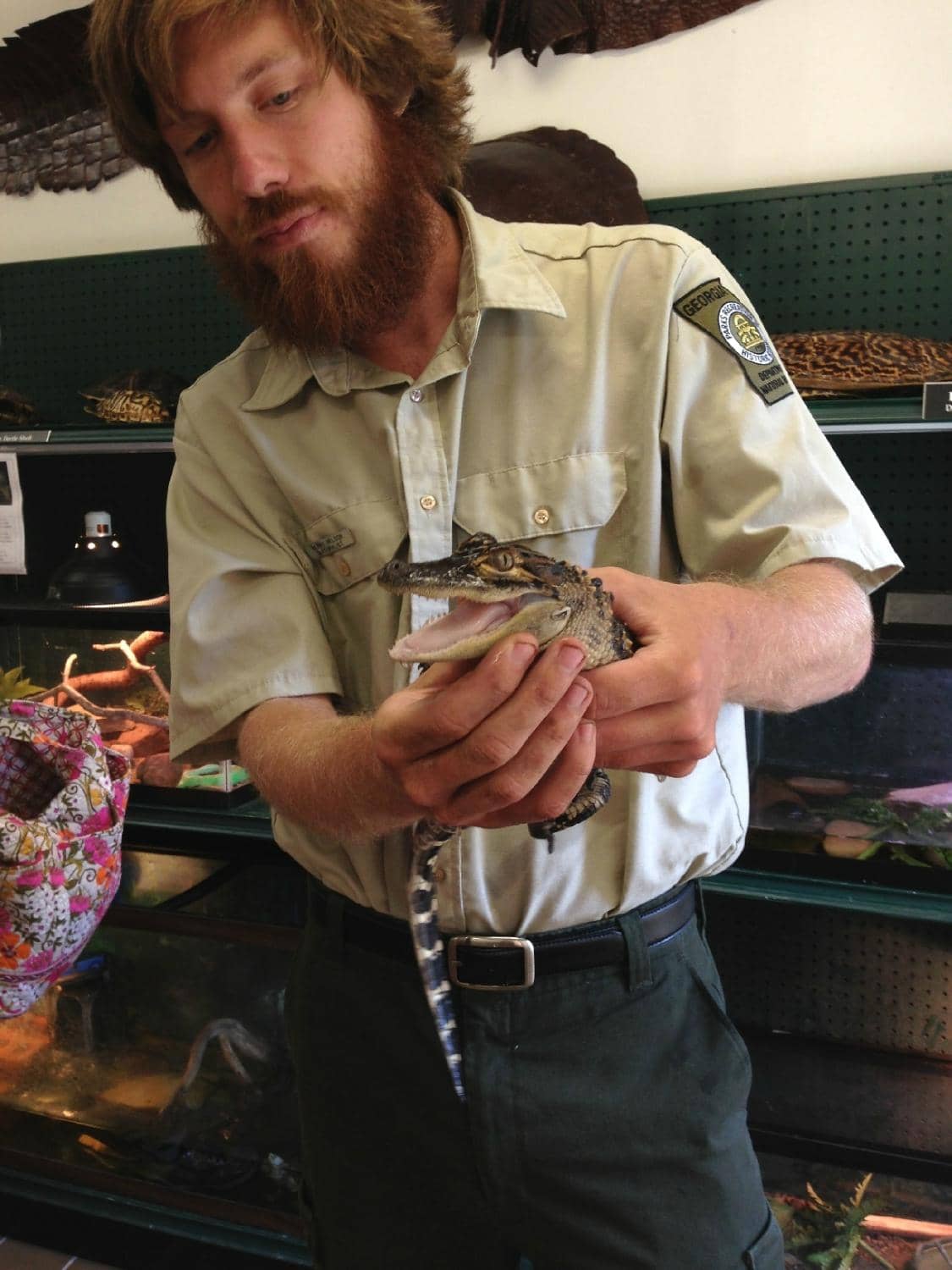 Jungle-Like Hiking Trails