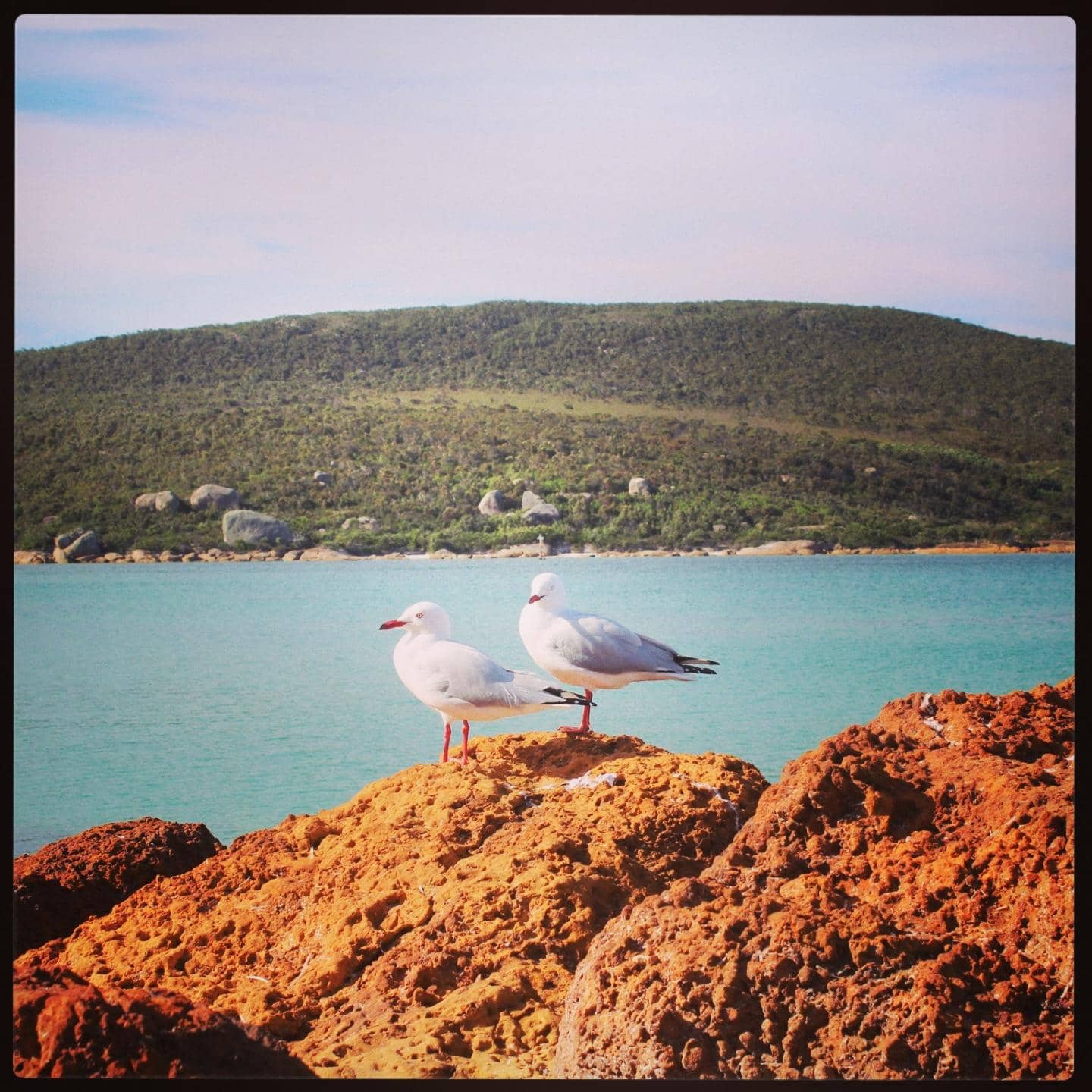 Emu Point Beach