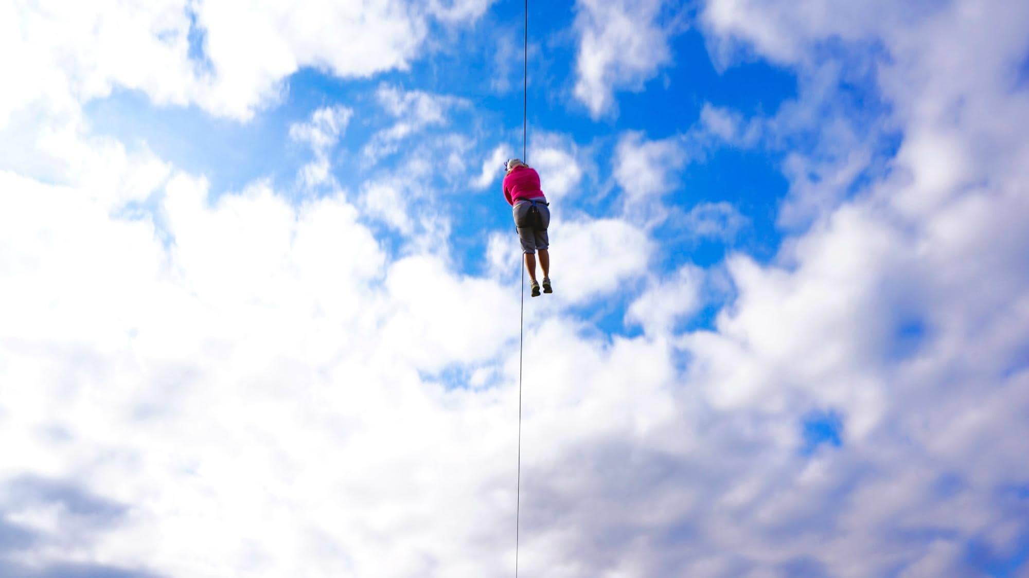 Highlights