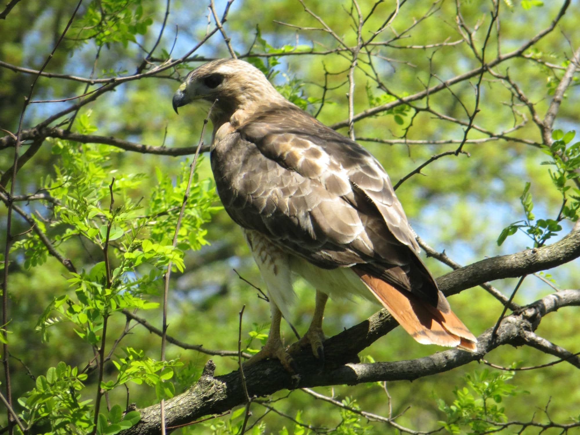 The Winter Mausoleum