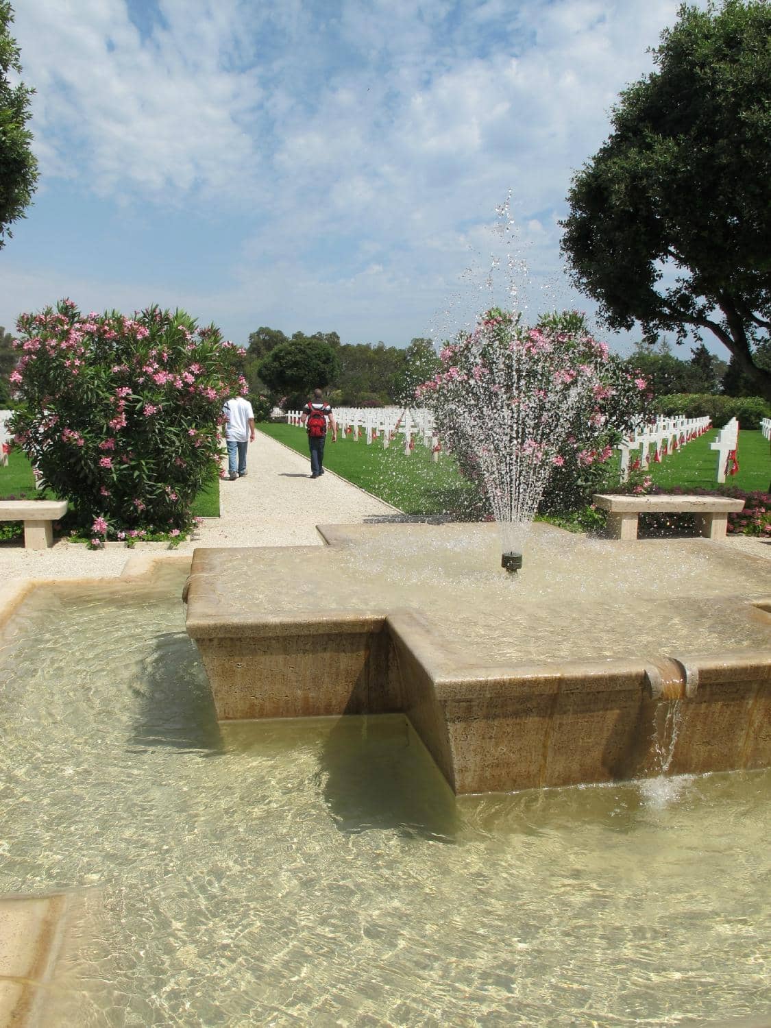 The Rows of Headstones