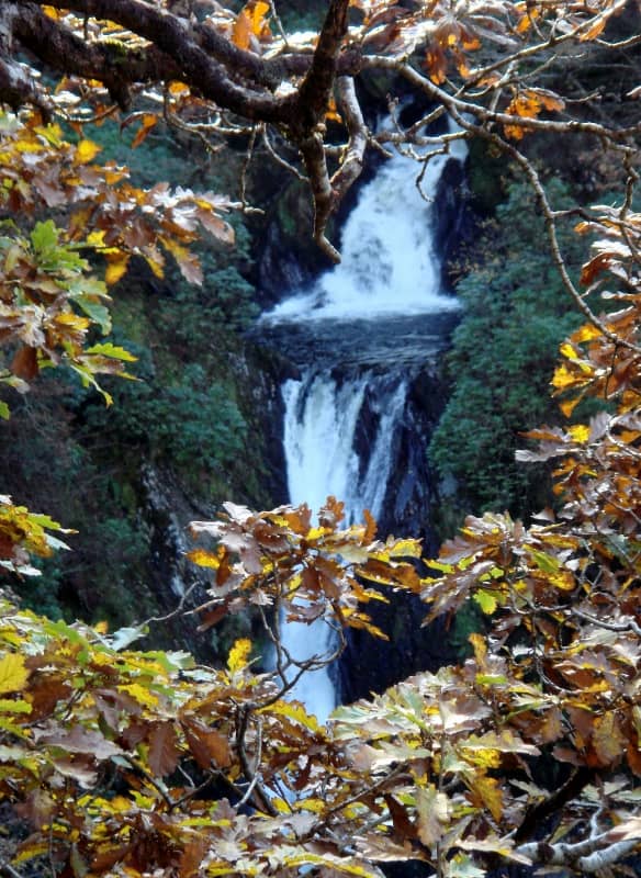 The Punch Bowl Viewpoint