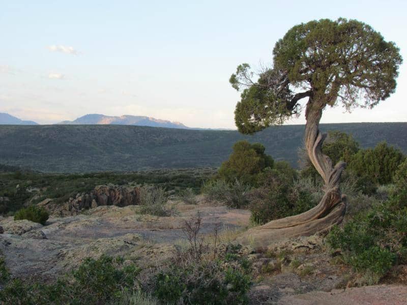 Gunnison Route Hike