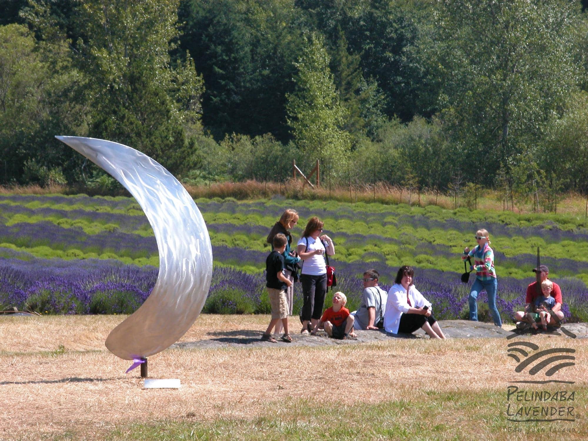 Educational Displays