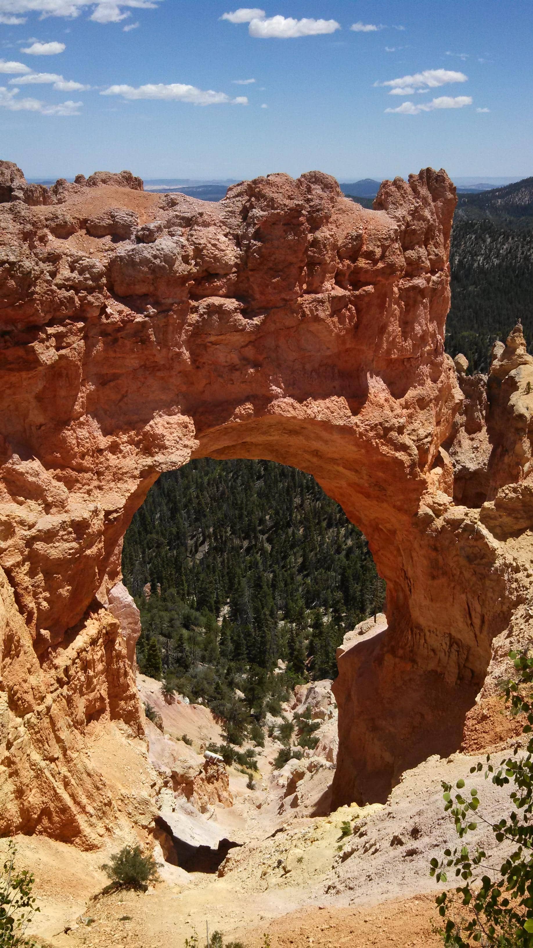 Burroughs Mountain Loop Trail