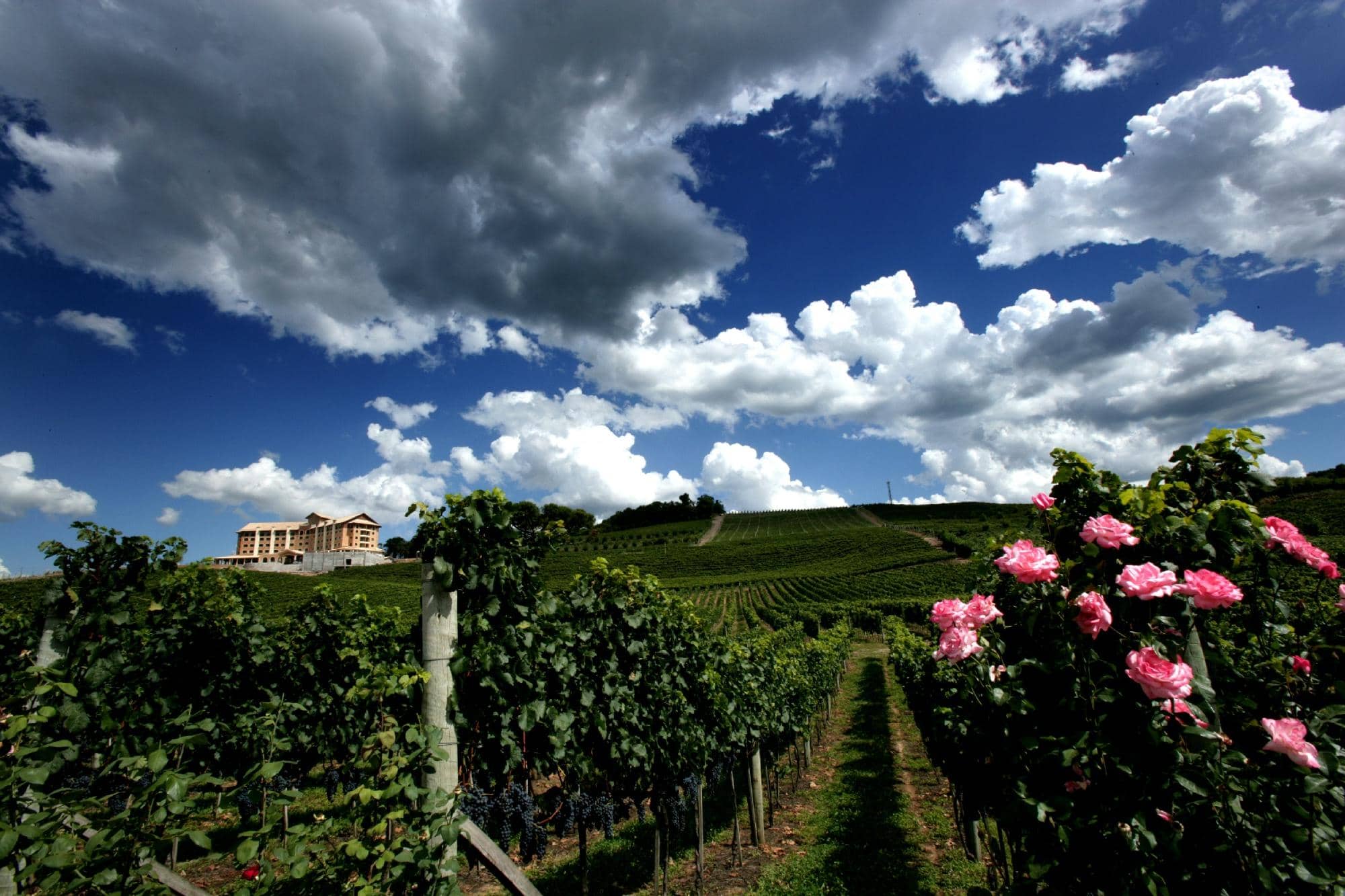 São Francisco River Cruise
