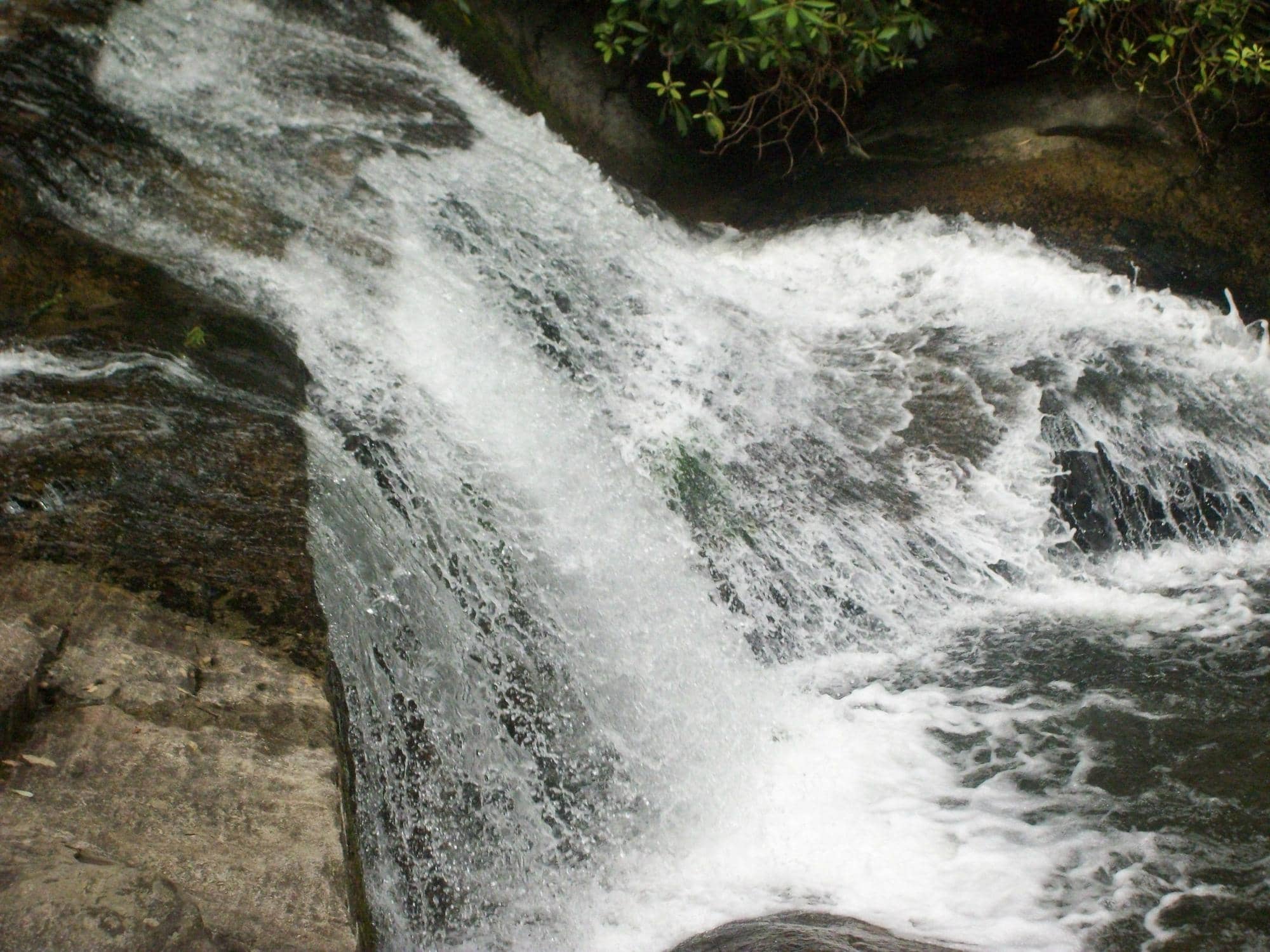 Chestnut Knob Overlook