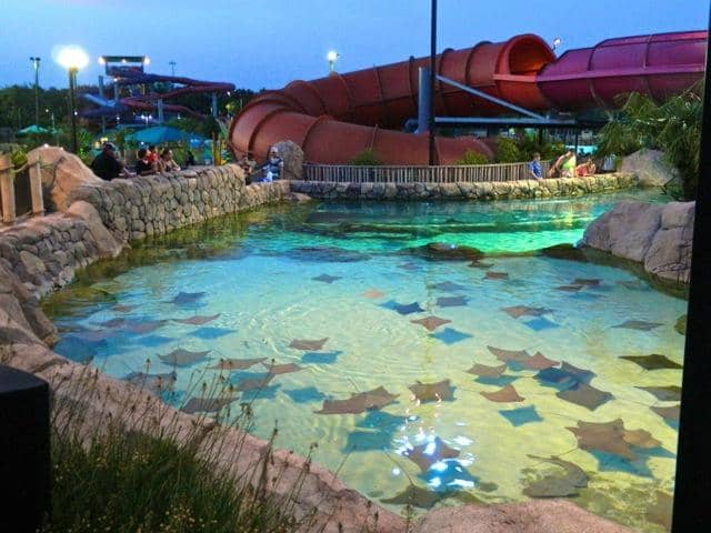 Lazy River