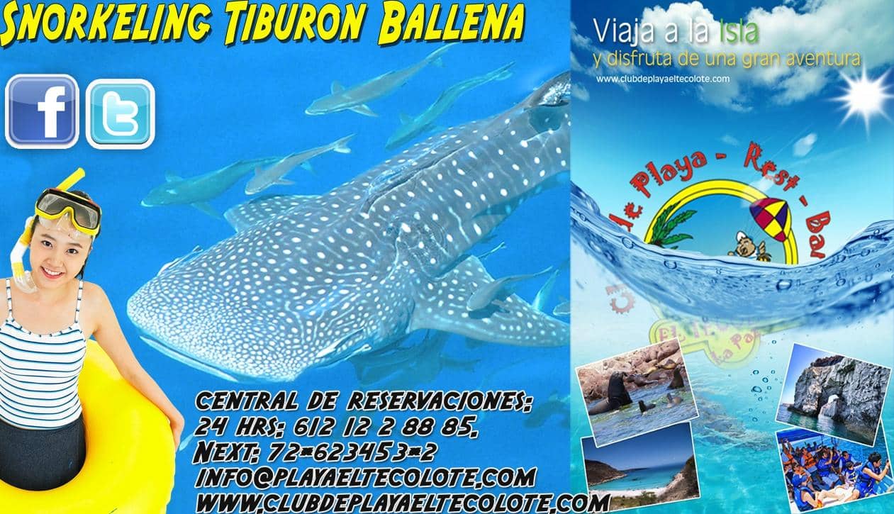 Snorkeling & Diving