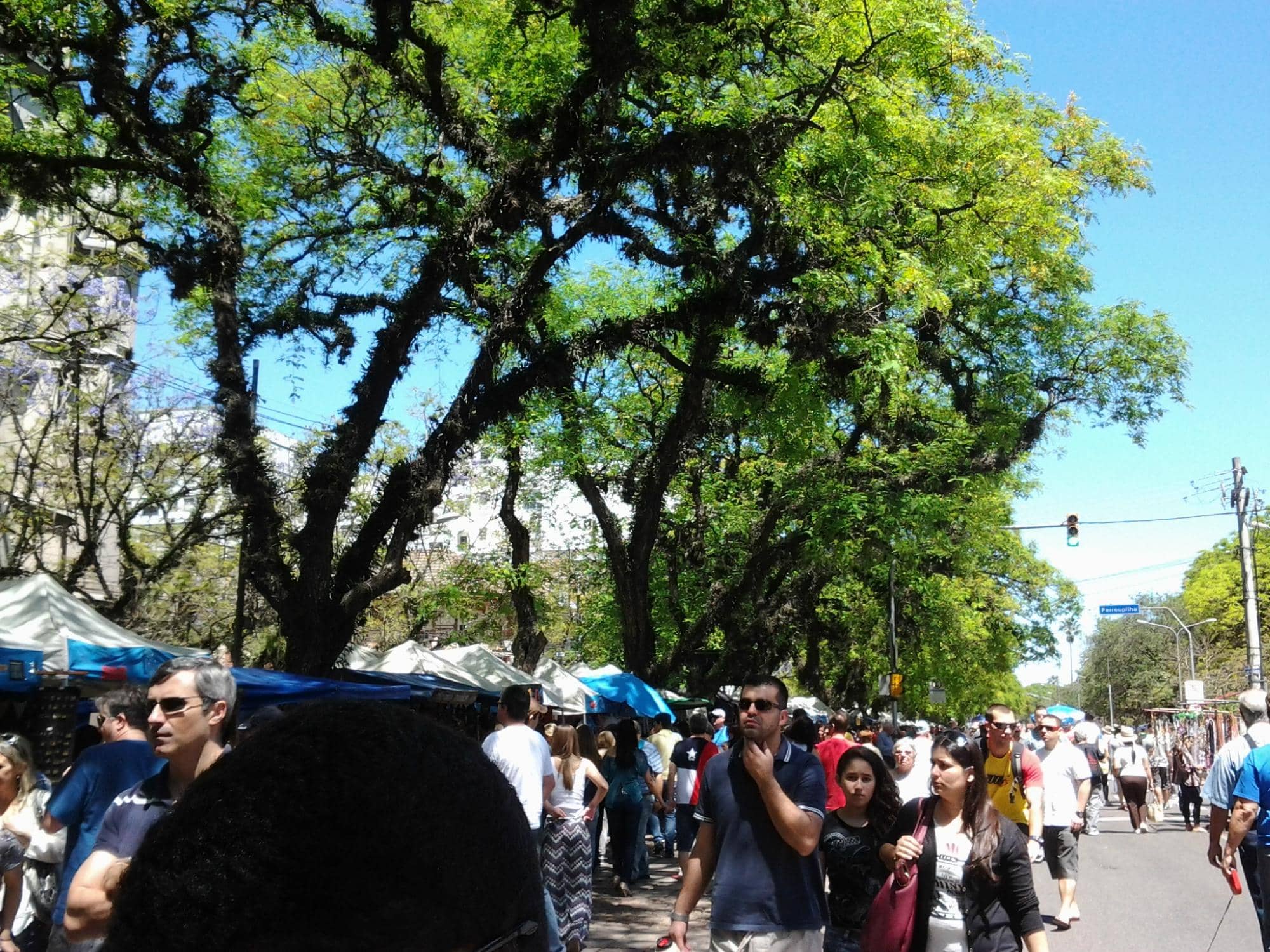 Organic Market Delights