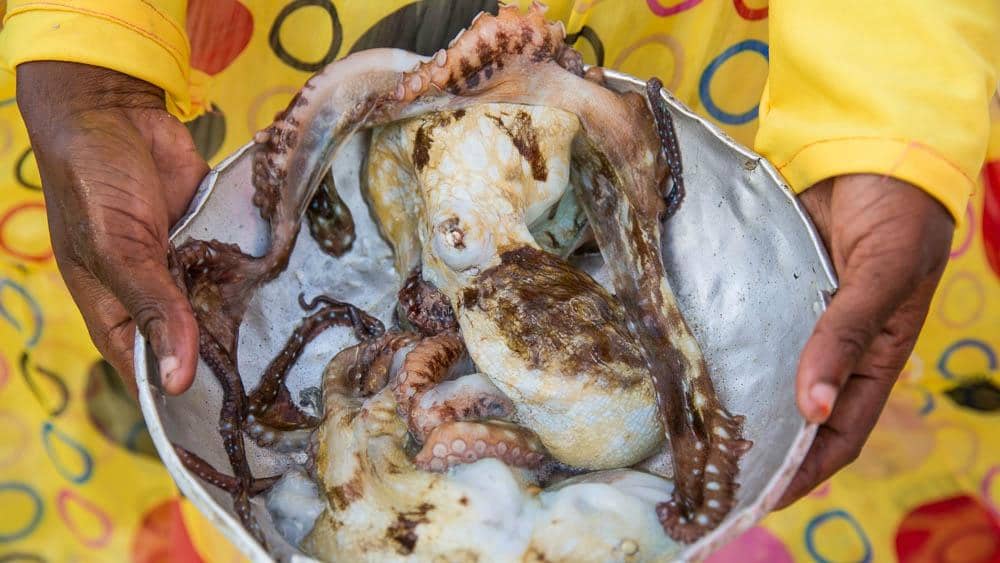 Seafood Delights