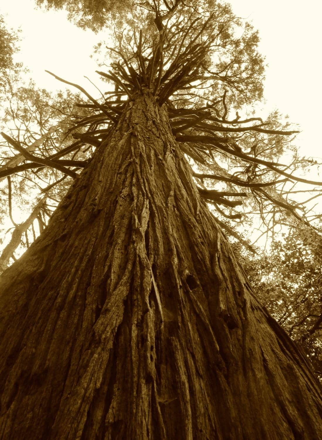 Ghost Town Exploration