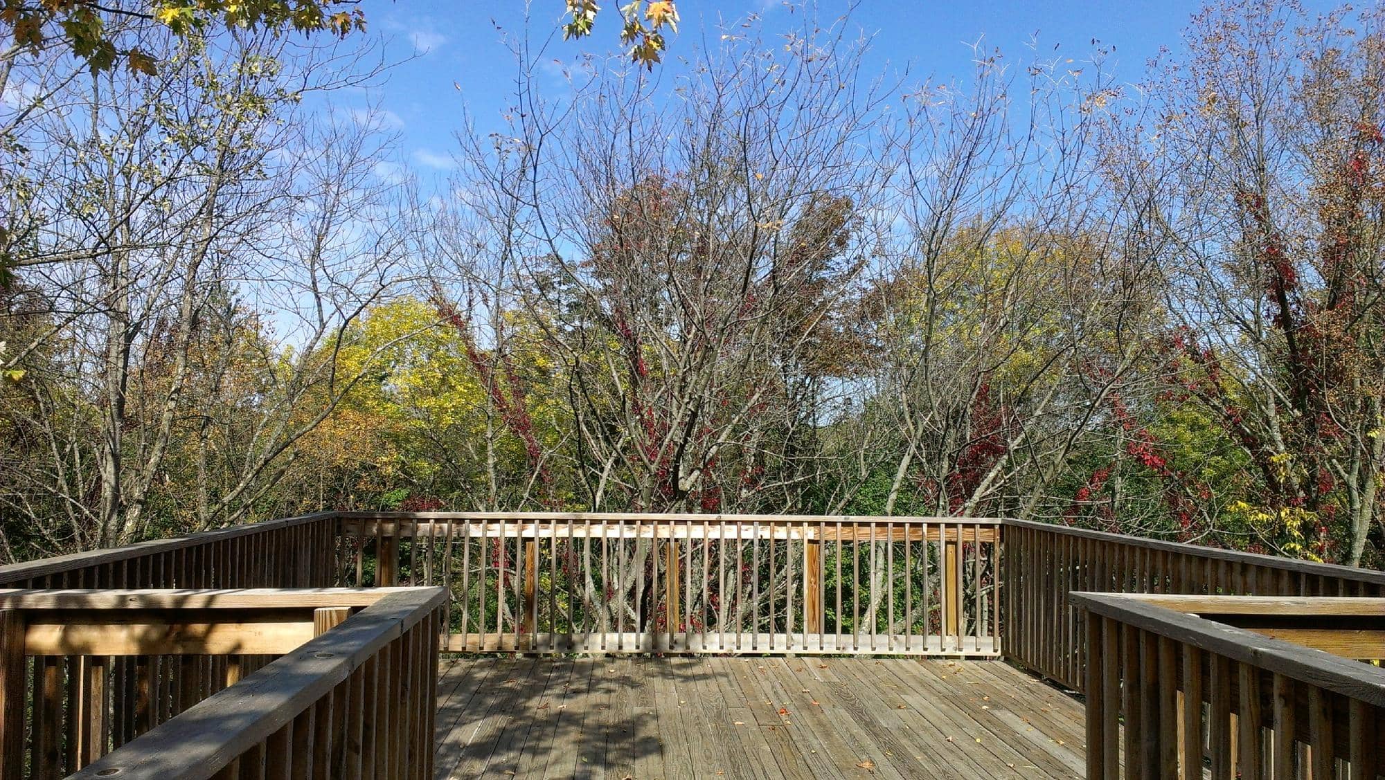 Indoor Wildlife Exhibits