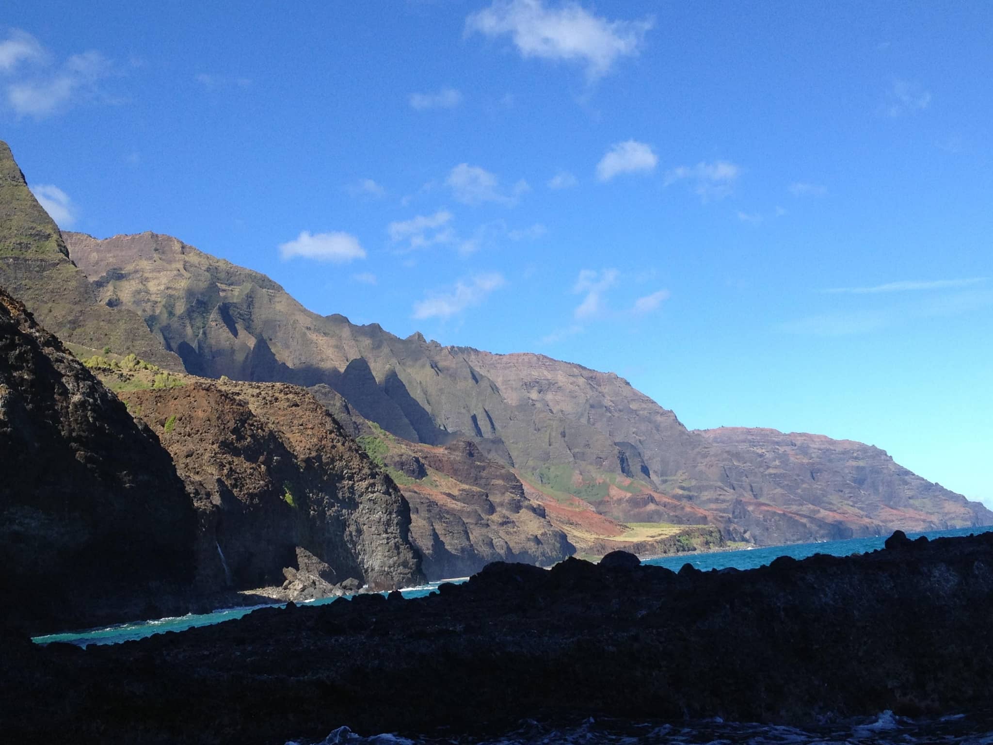 Abundant Marine Life