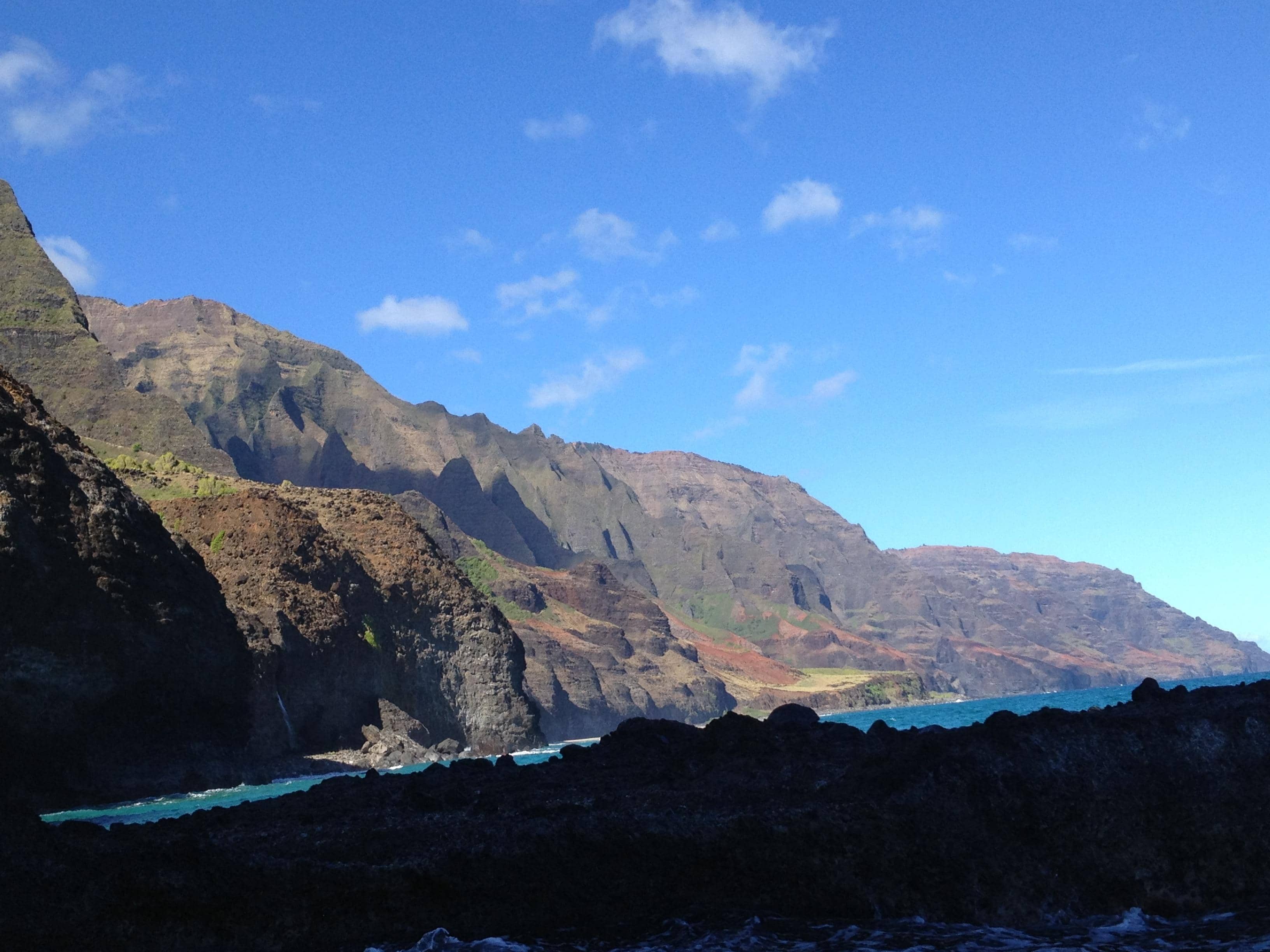 Abundant Marine Life