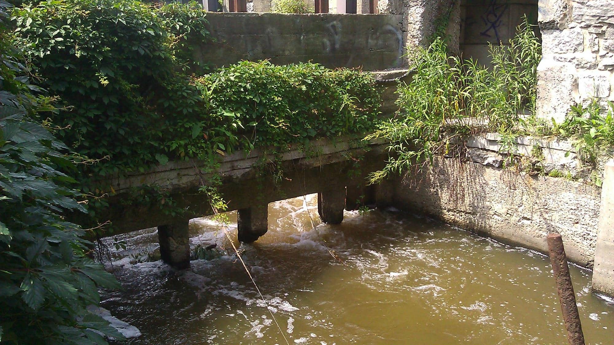 River des Prairies Views