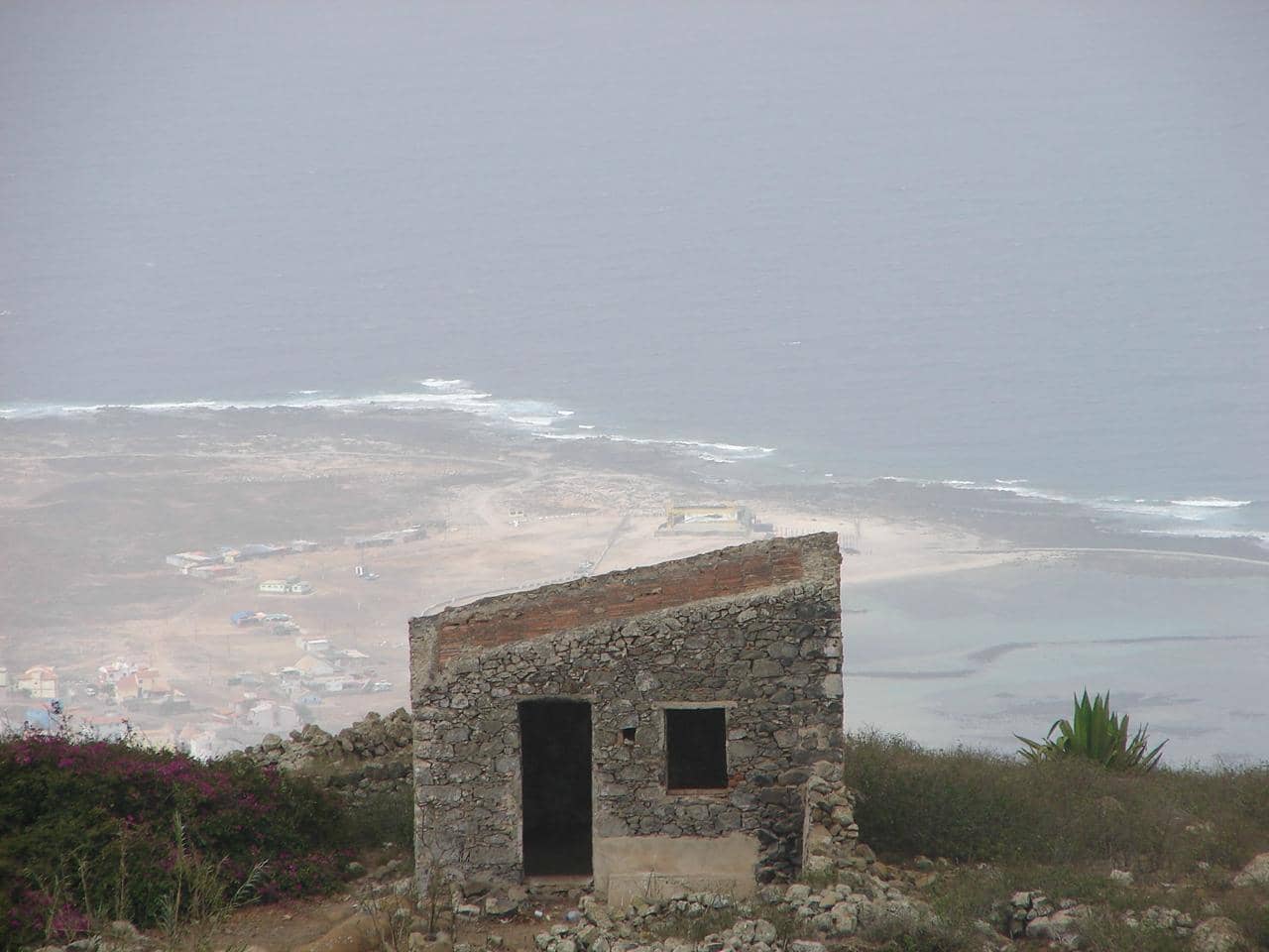 Diverse Flora and Fauna