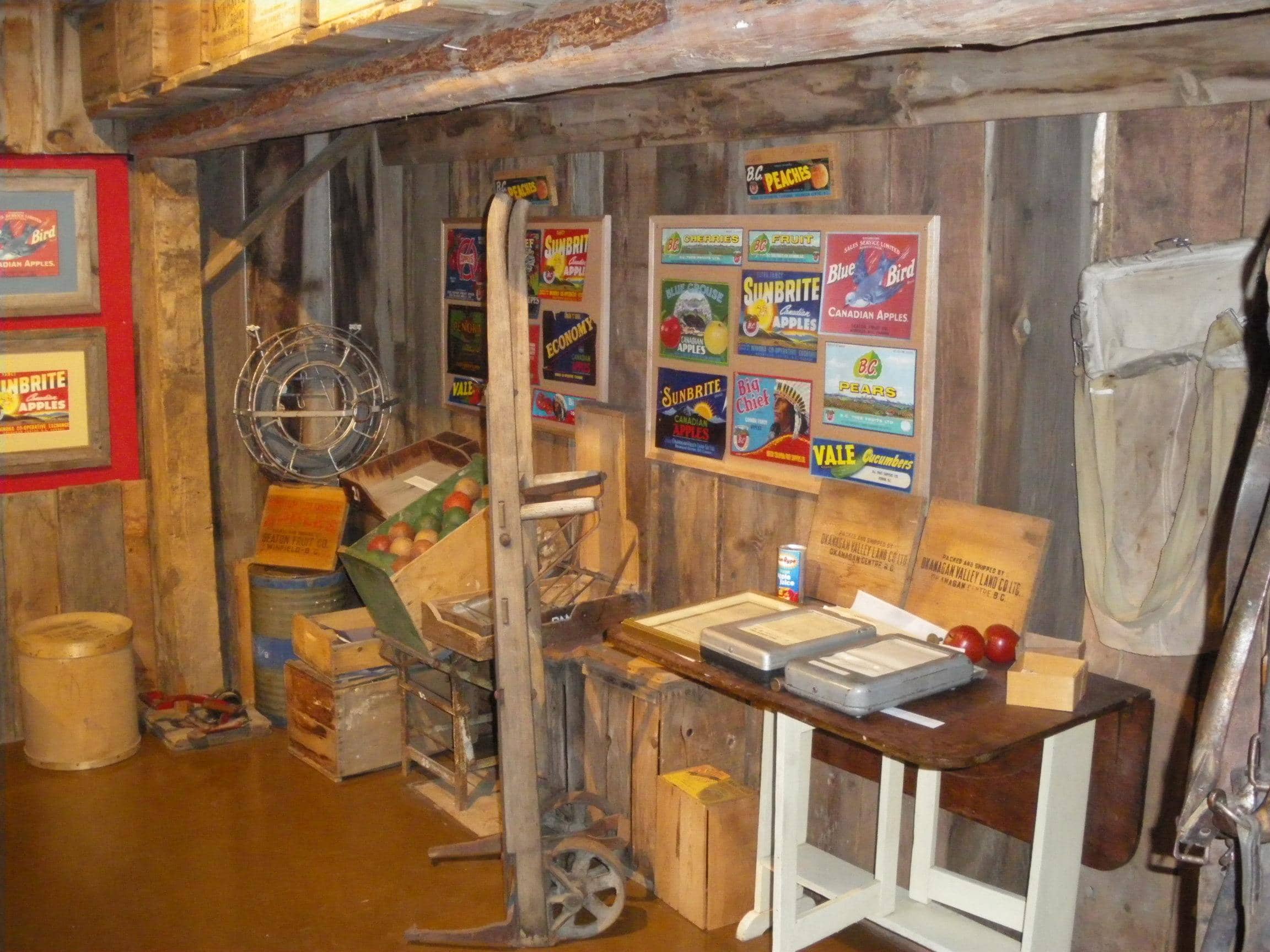 Indigenous Artifacts