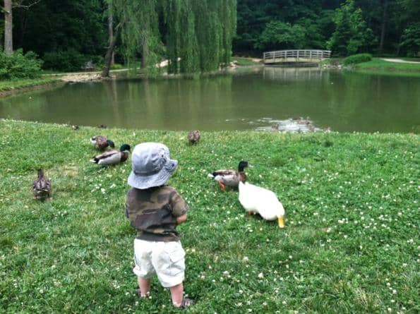 Peaceful Walking Trails