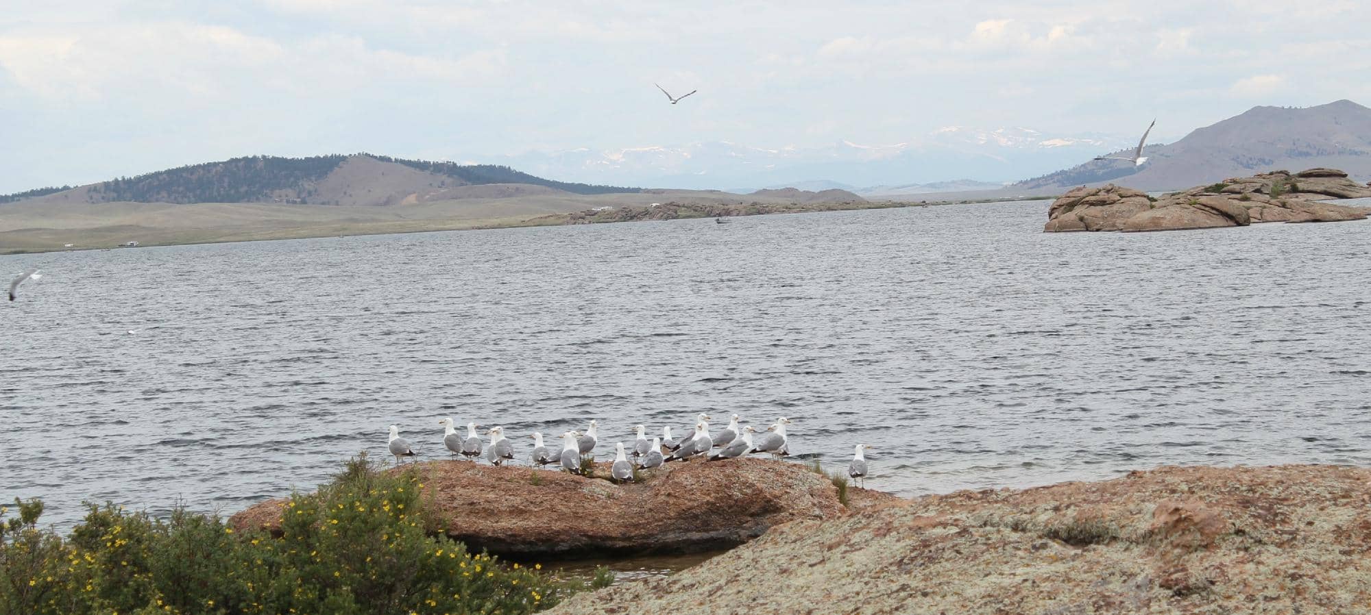 Rocky Ridge Campground