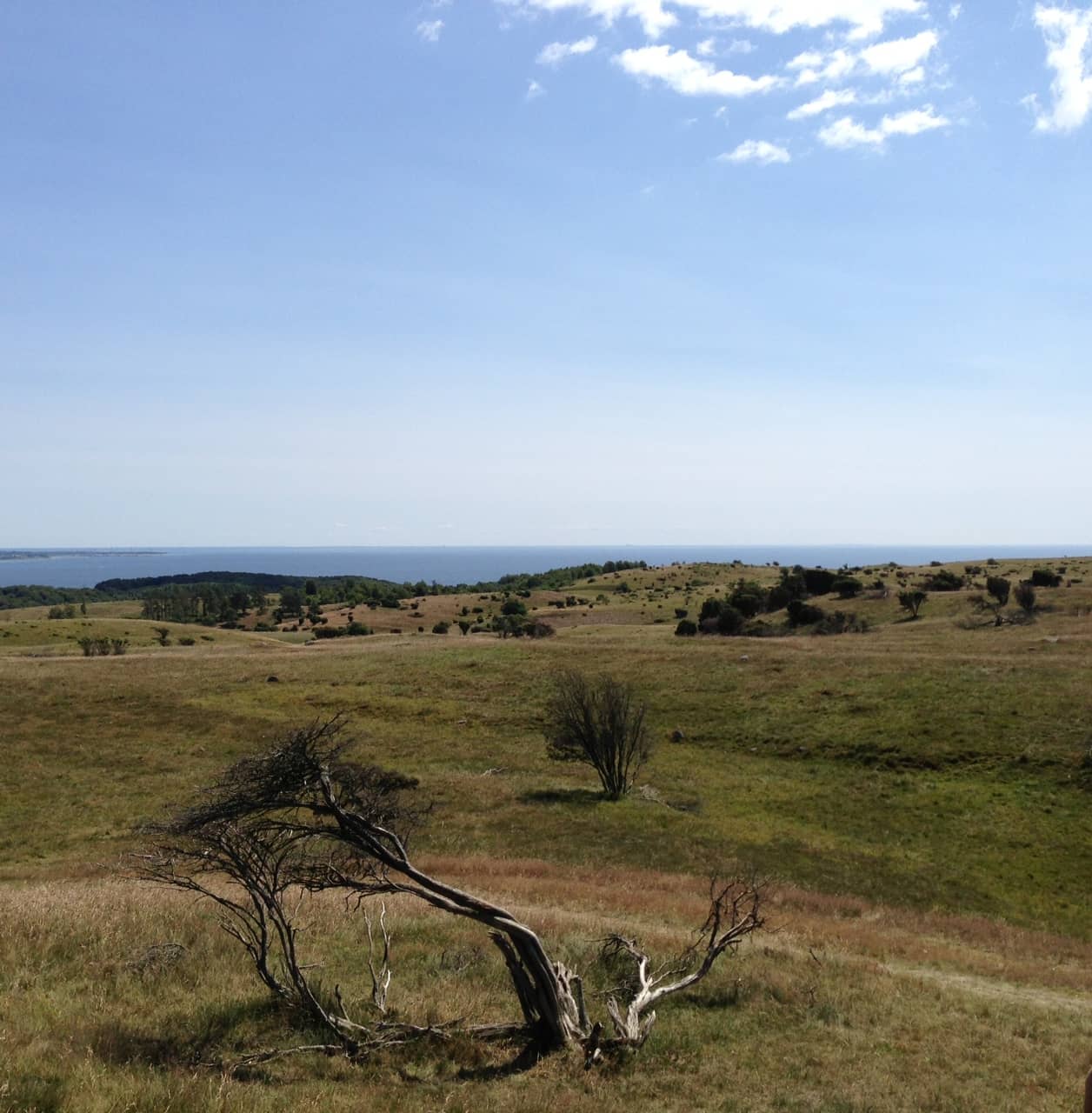 Kalø Slot Ruins