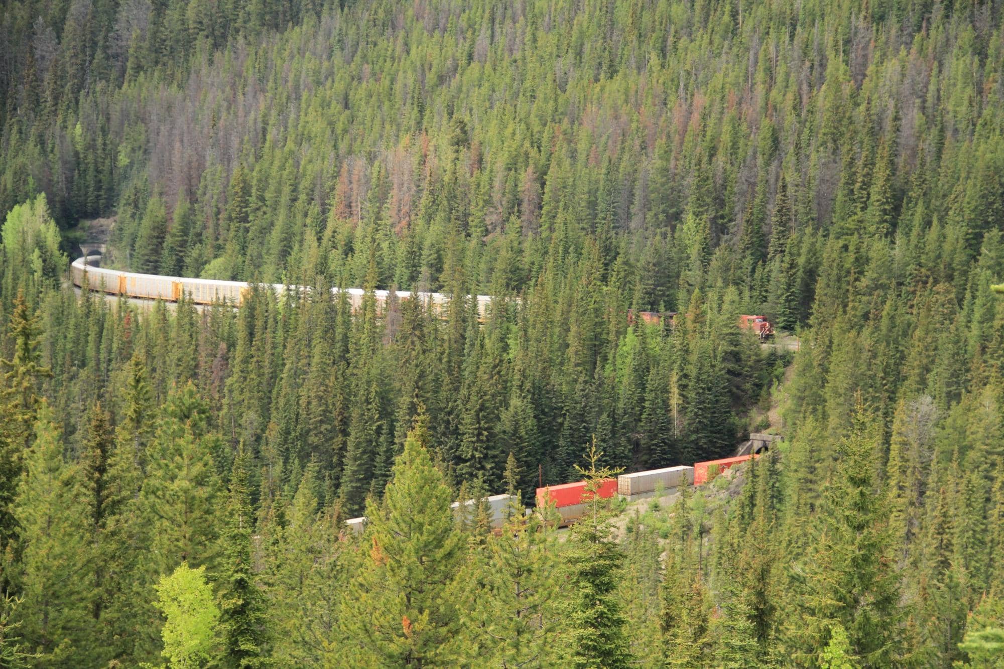 Witness a Train in Motion