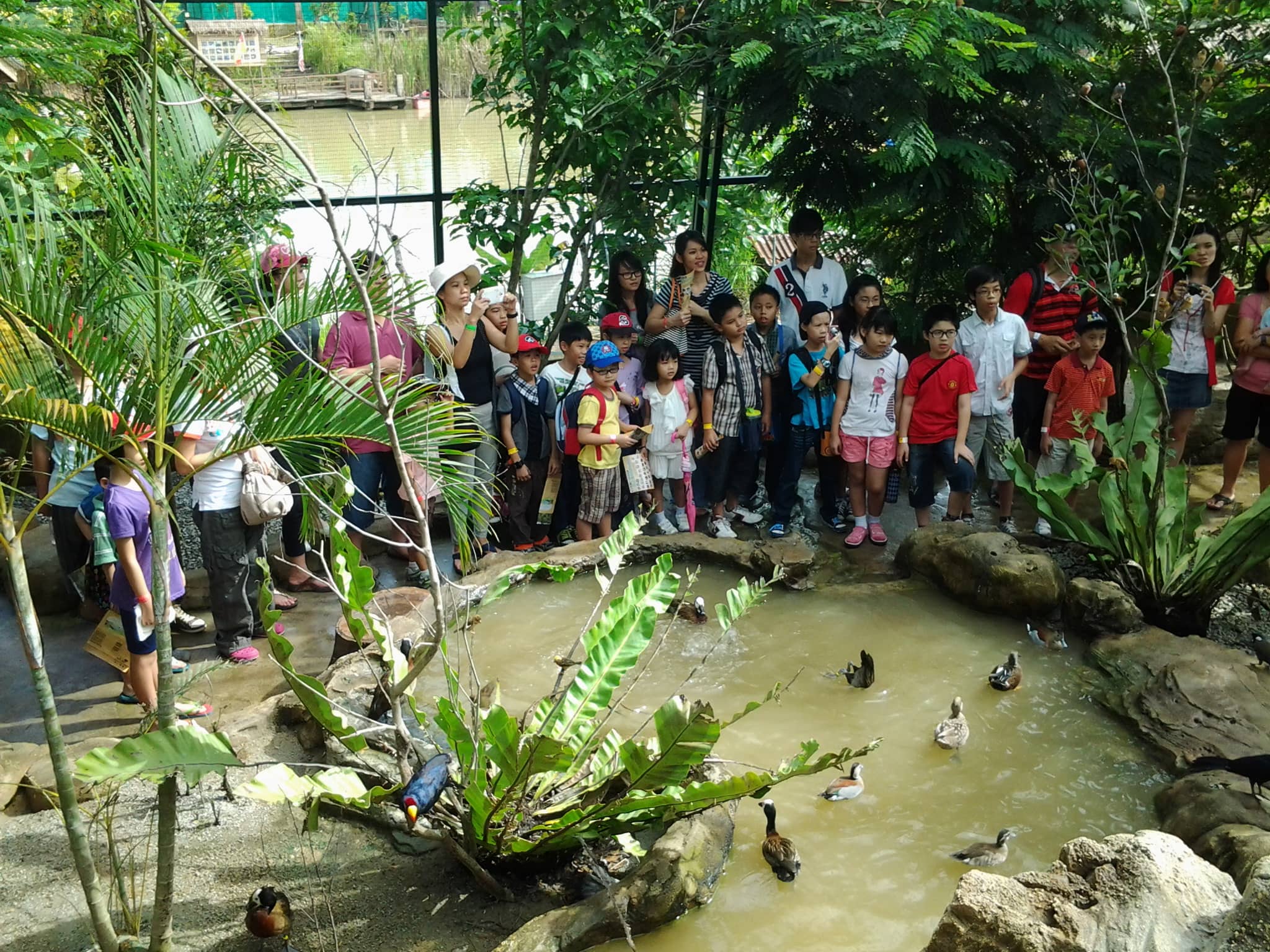 Interactive Aquatic Zone