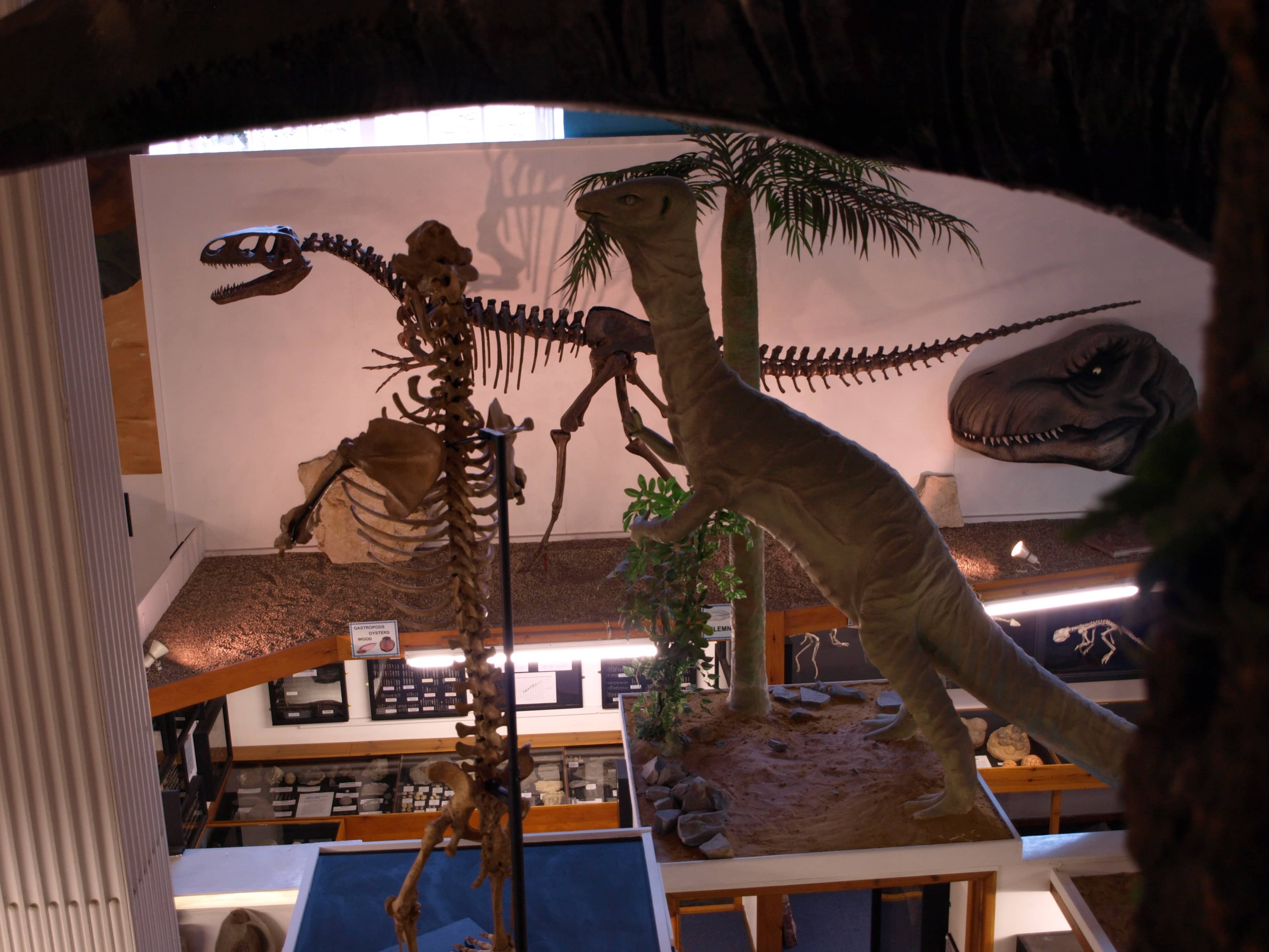 The Dinosauroid Homage