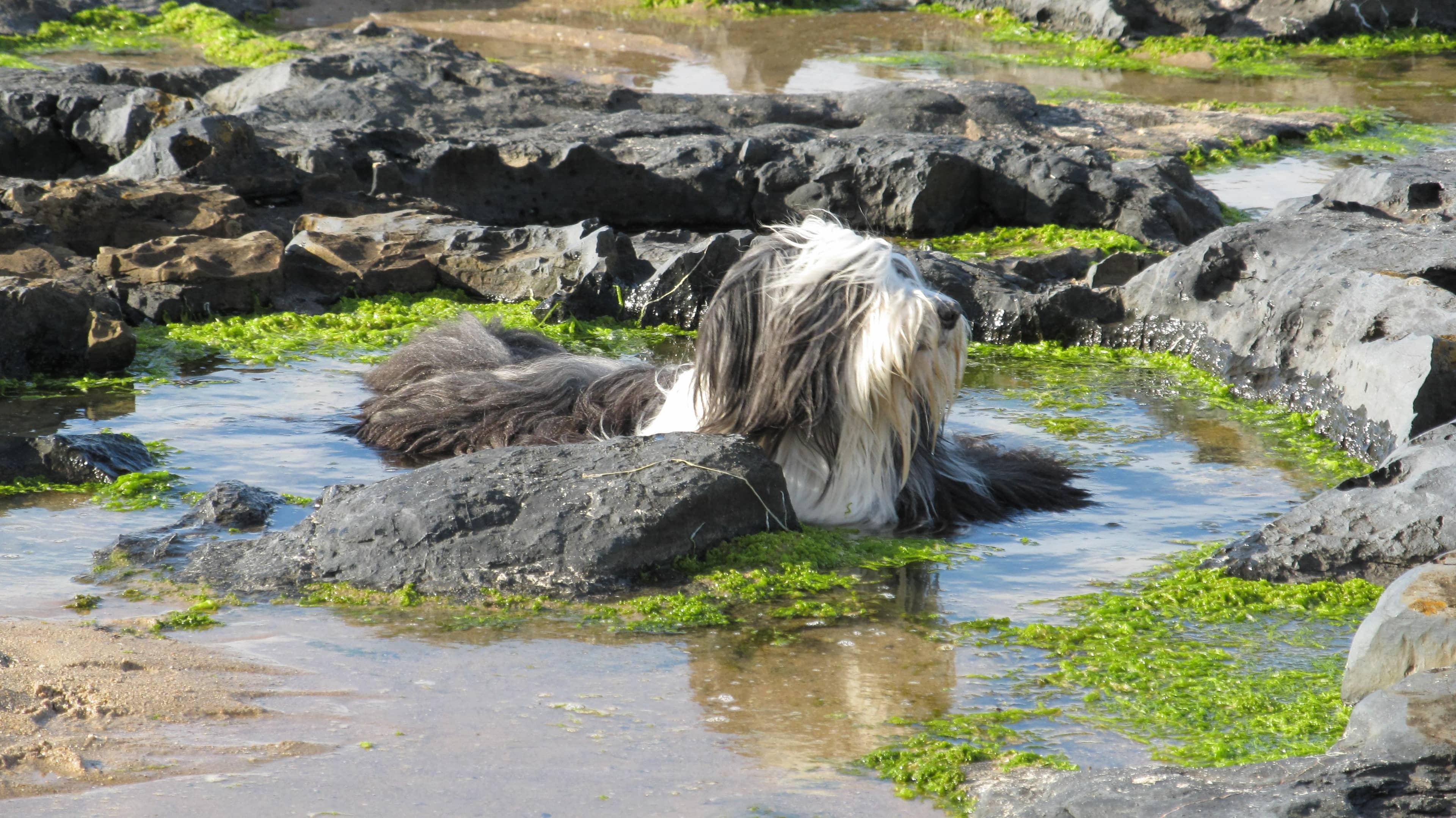 Coastal Path Adventures