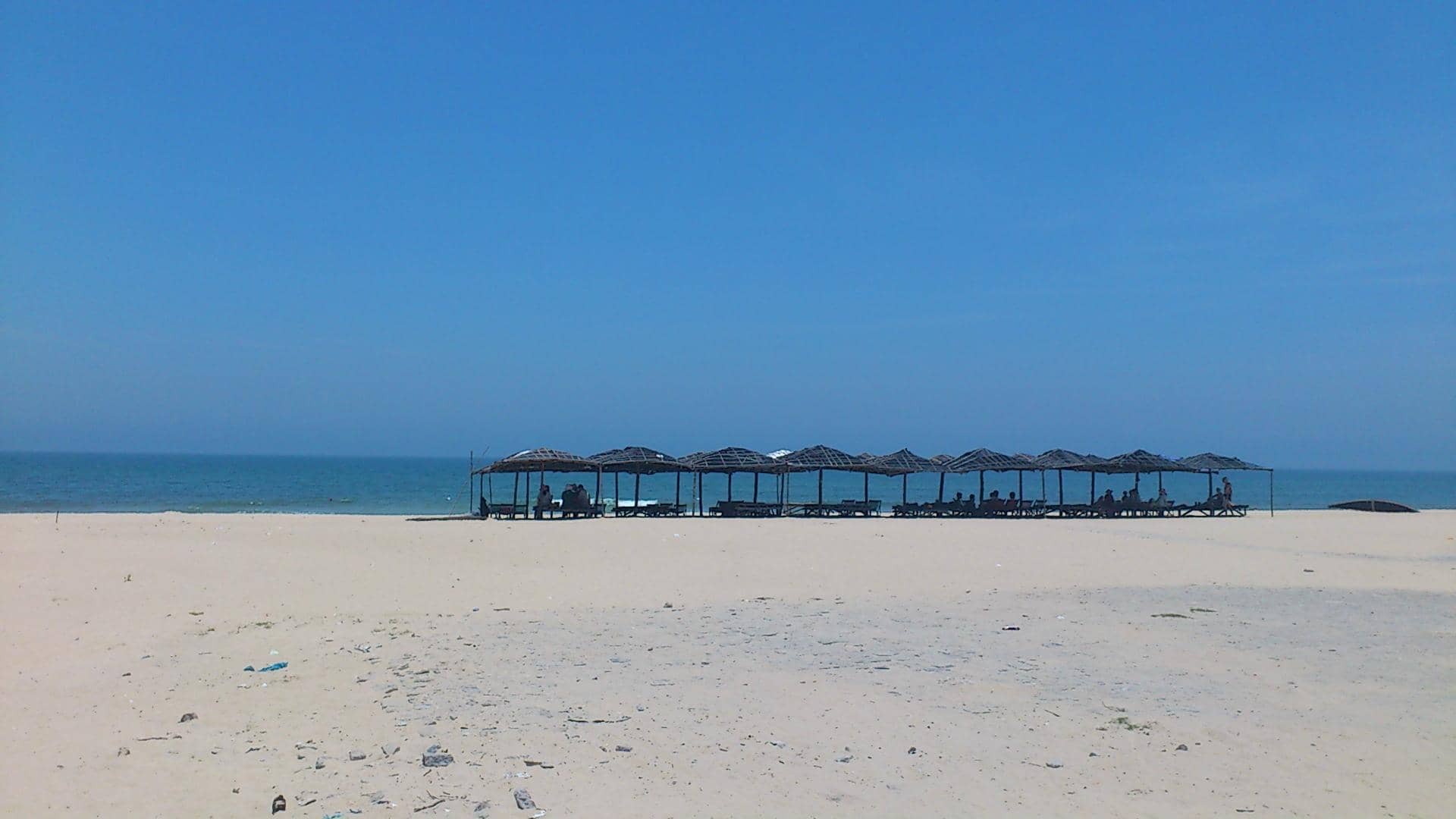 Seafood Shack Delights