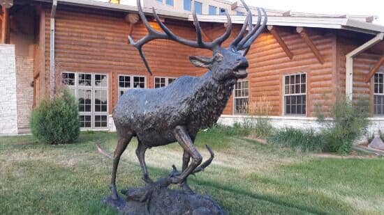 Outdoor Sculpture Garden
