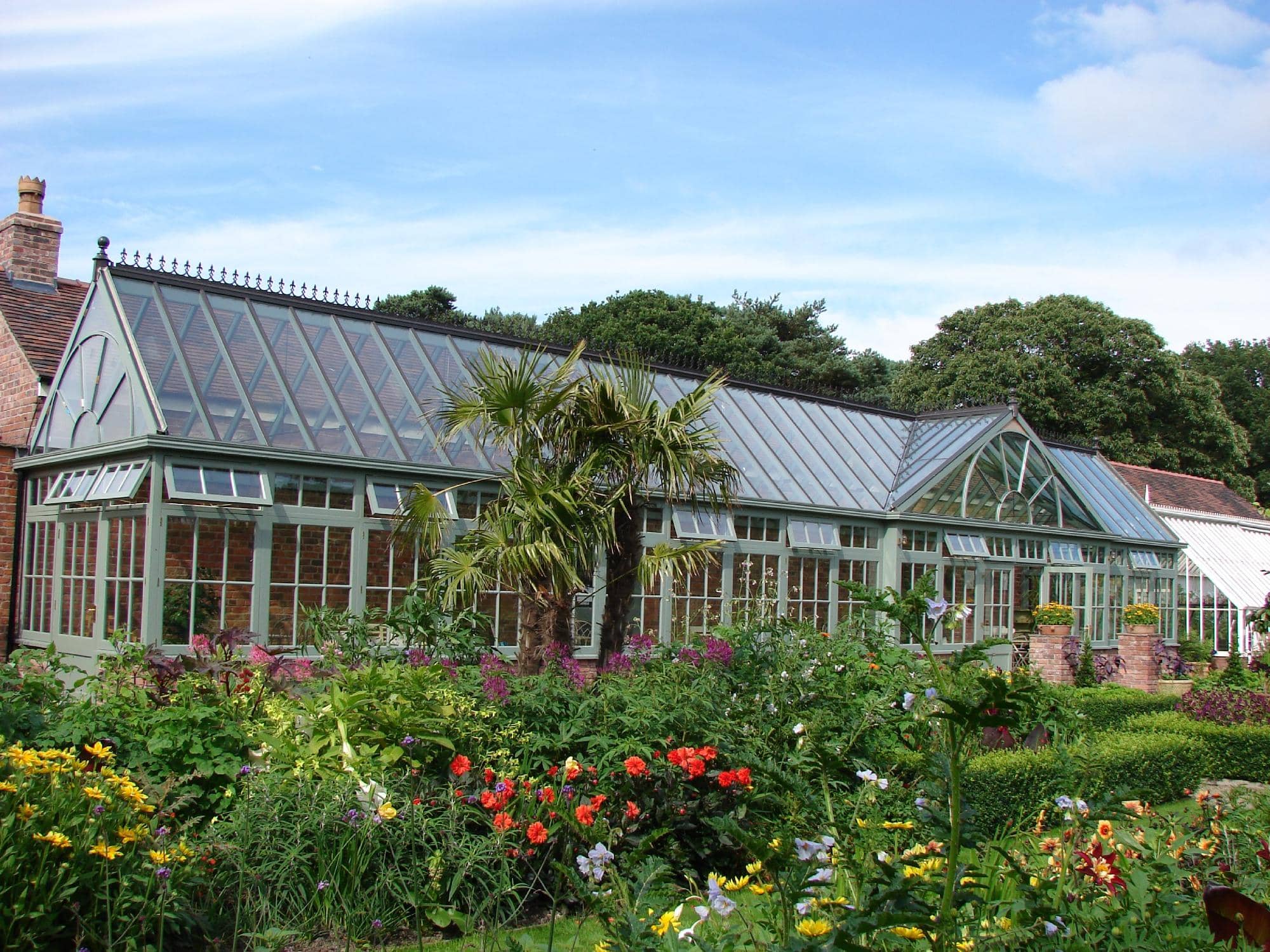 Tropical Garden