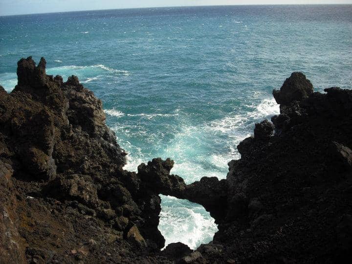 Snorkeling at Bare Island