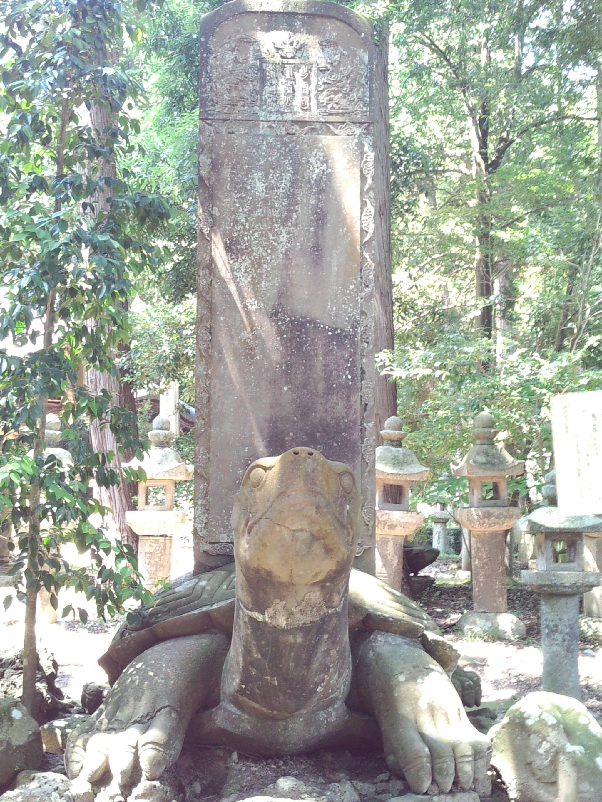 Vertical photo