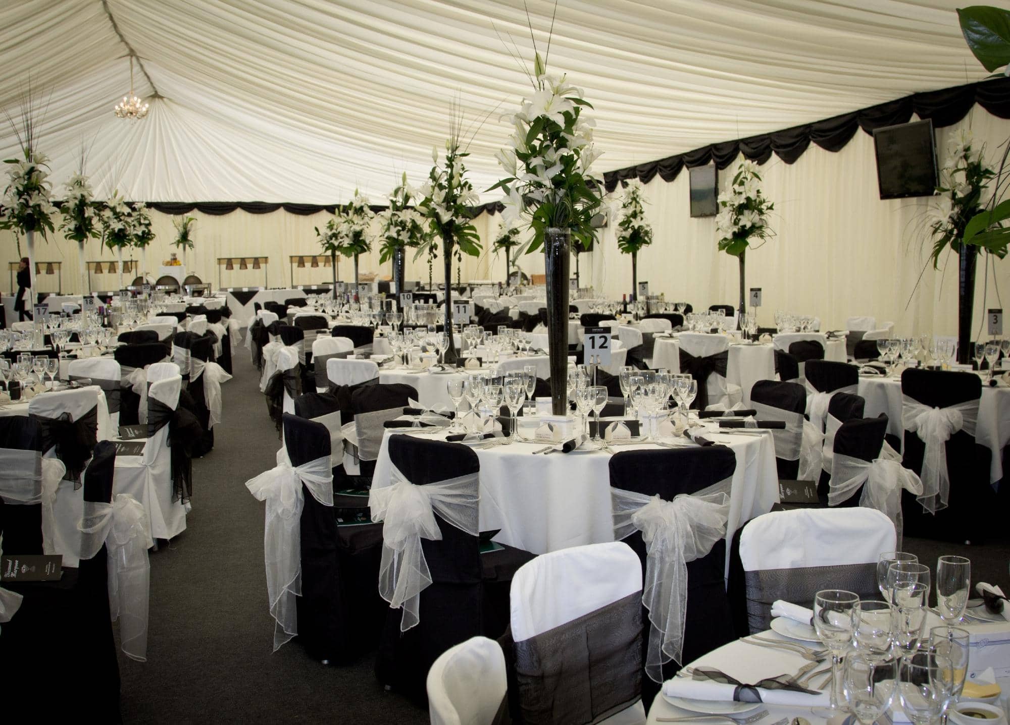 Live Music & Entertainment