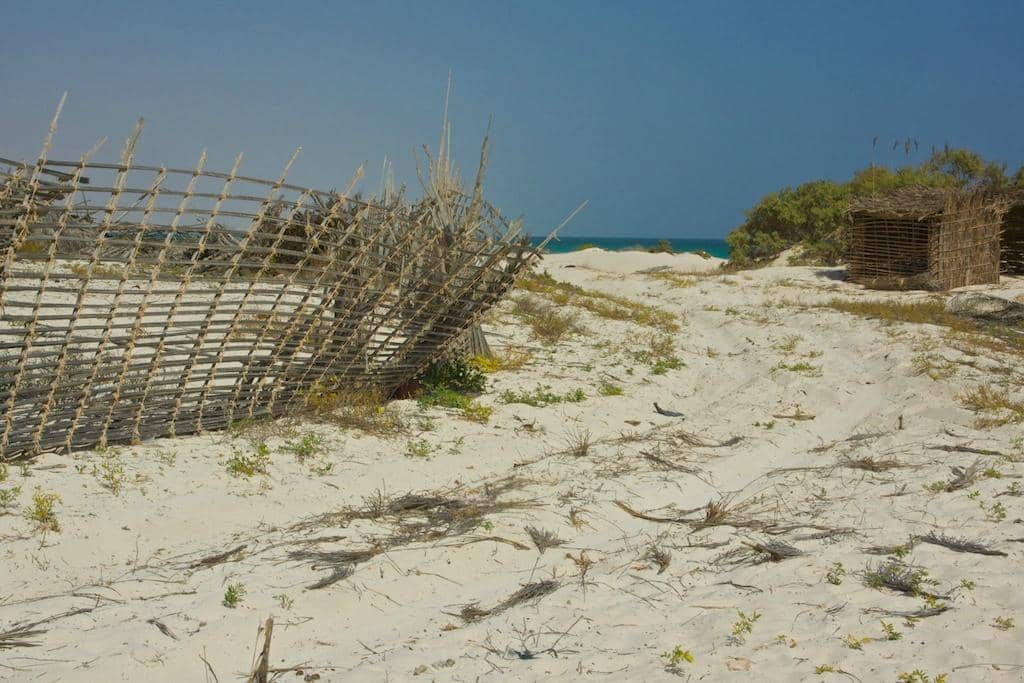 Magical Sunrise Views