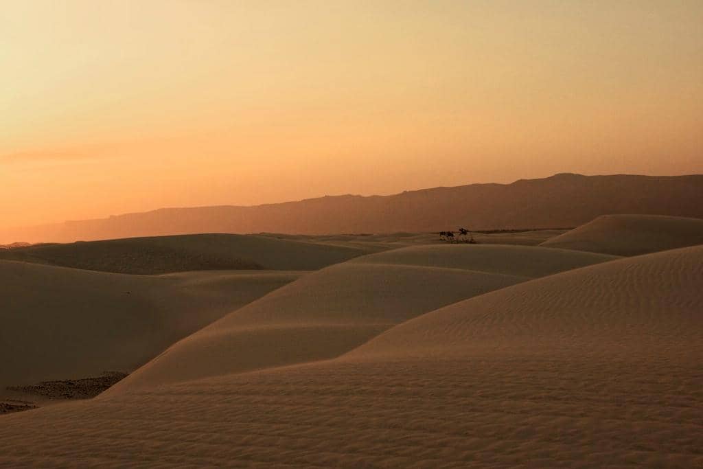 Camping Under the Stars