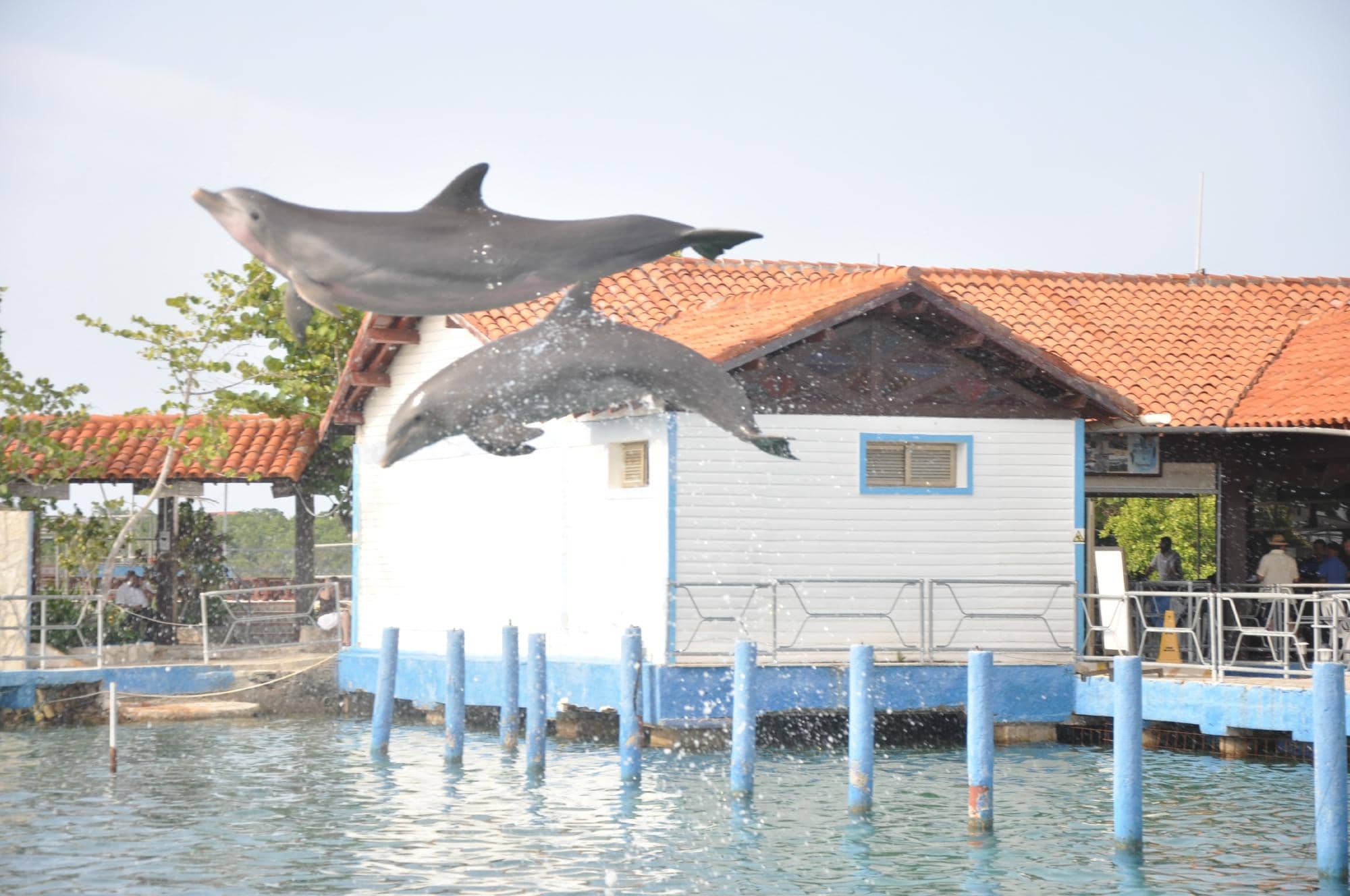 Relaxing Beach Vibes