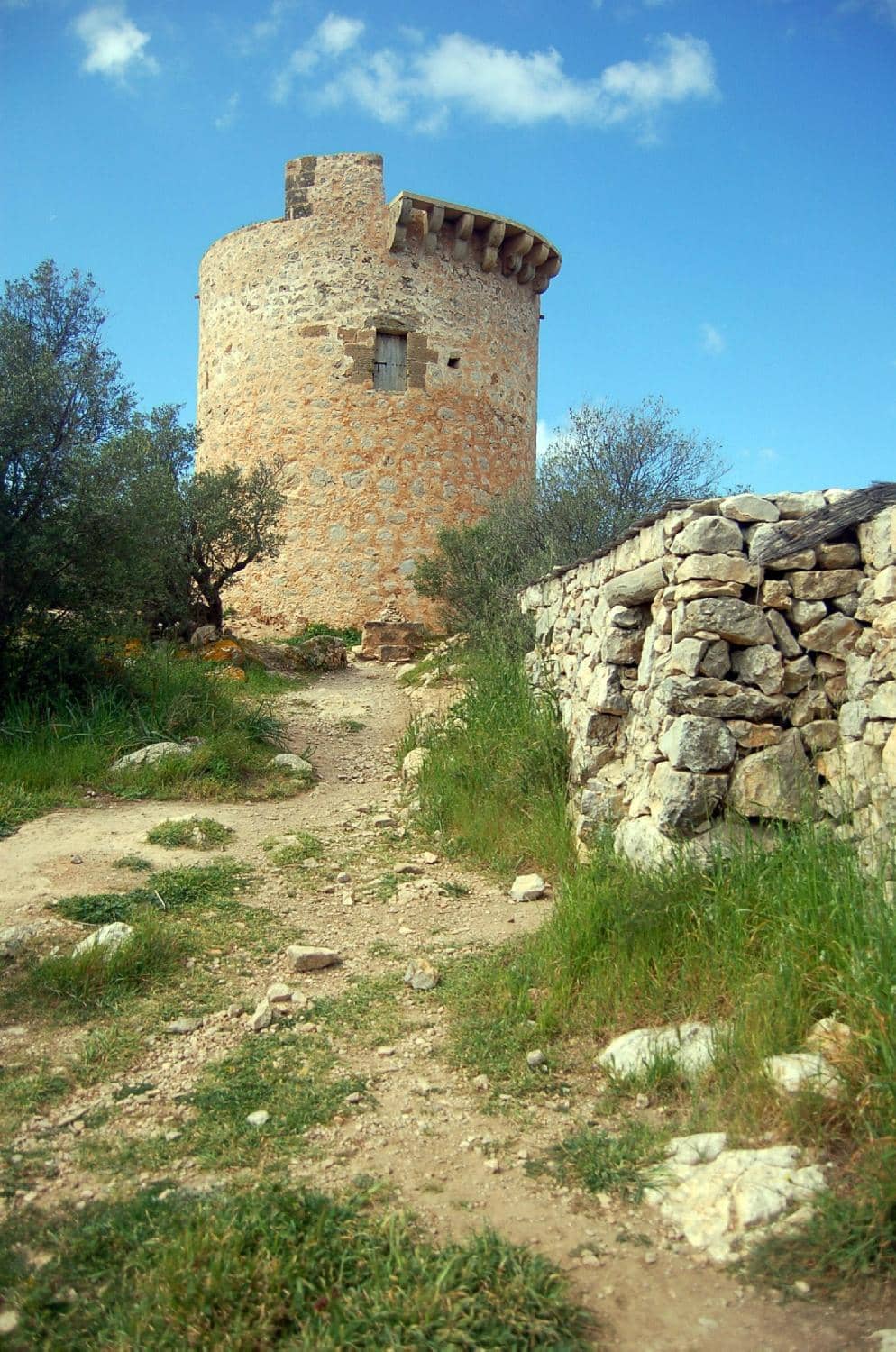 Vertical photo