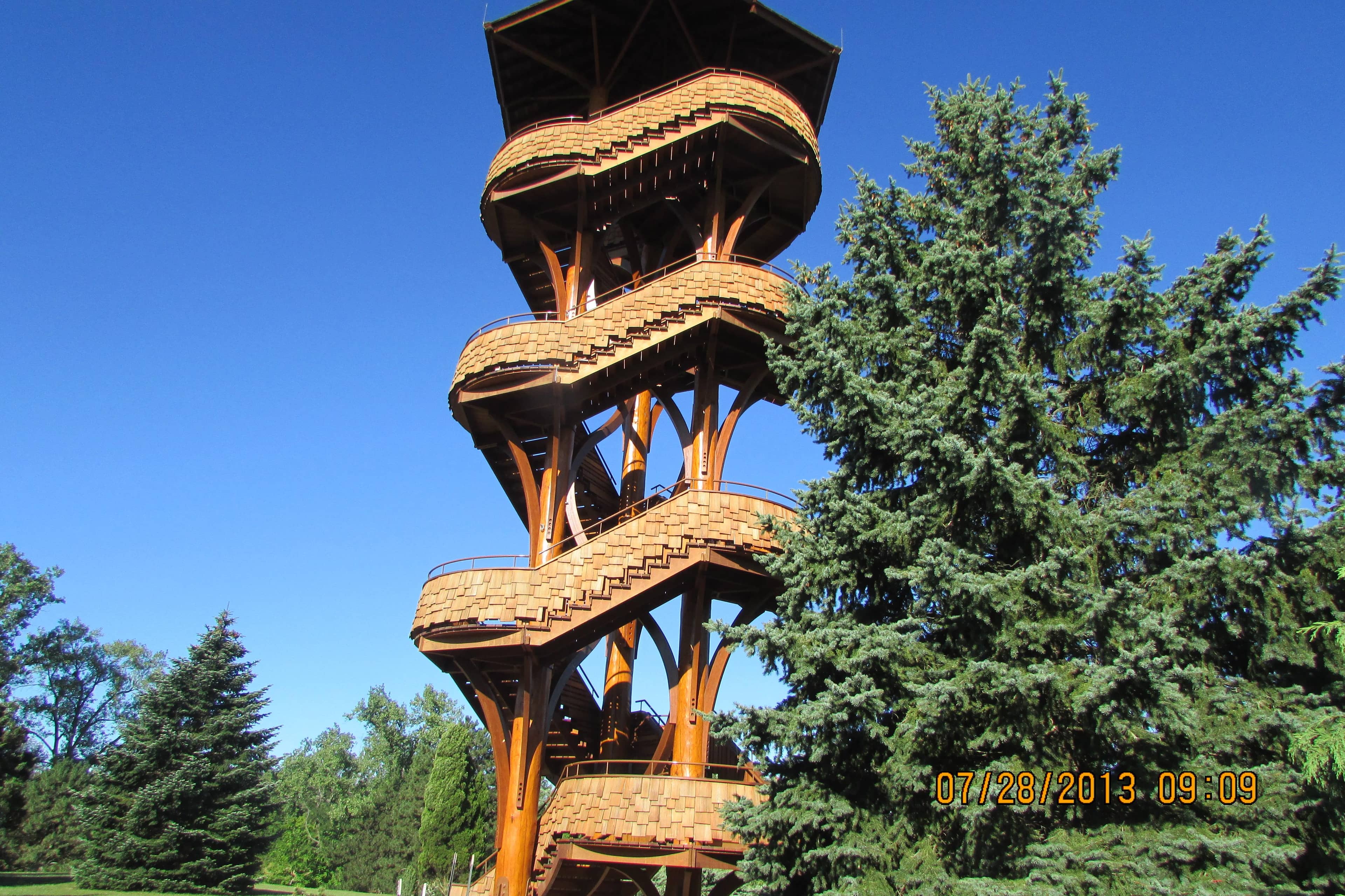 The Iconic Tree Tower