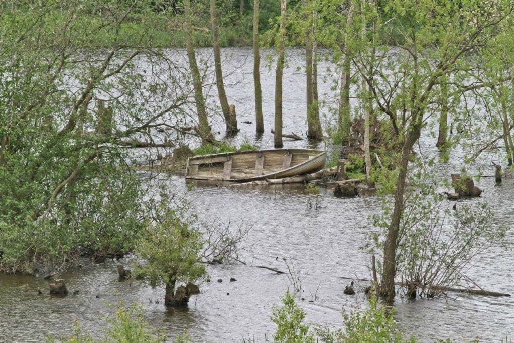 Bird Hides
